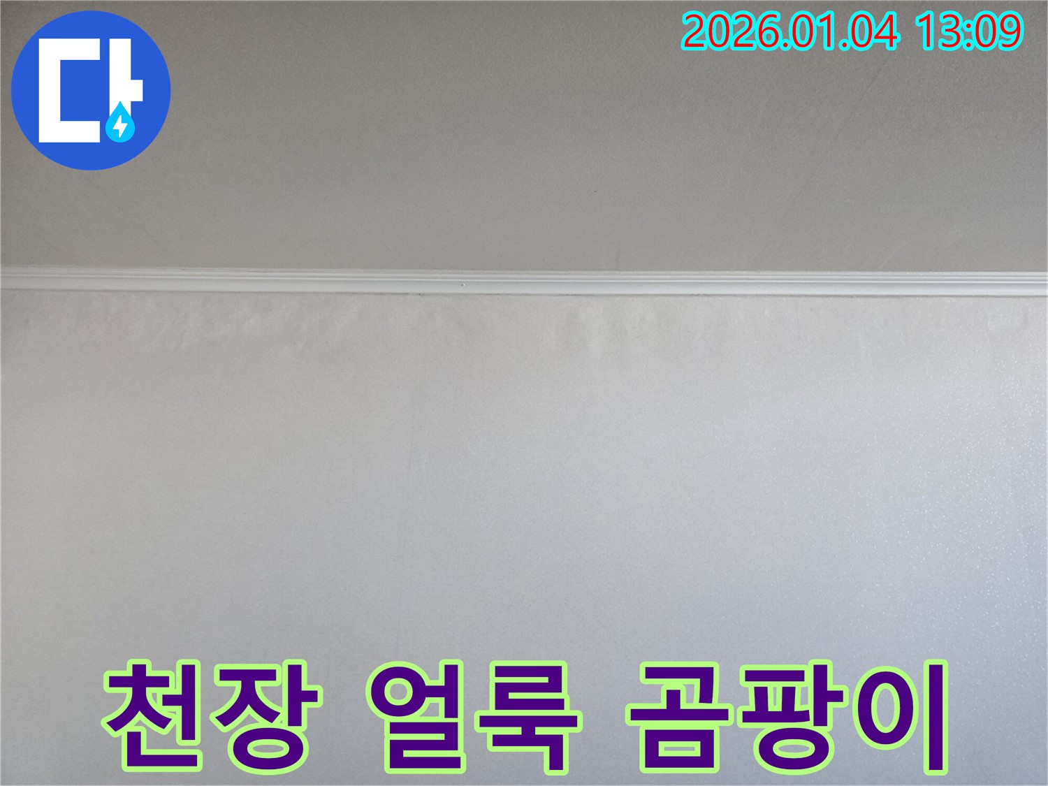 천장 얼룩 - 곰팡이 냄새 - 송정동 누수탐지