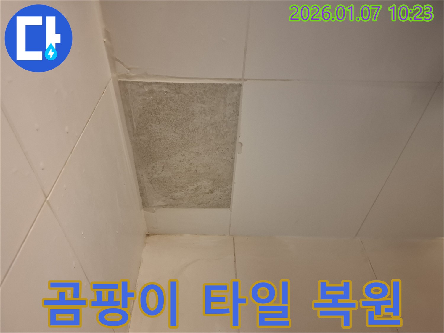 용인시 모현면 누수 - 곰팡이 핀 타일, 완벽하게 복원하여 새것처럼 깨끗한 욕실로!