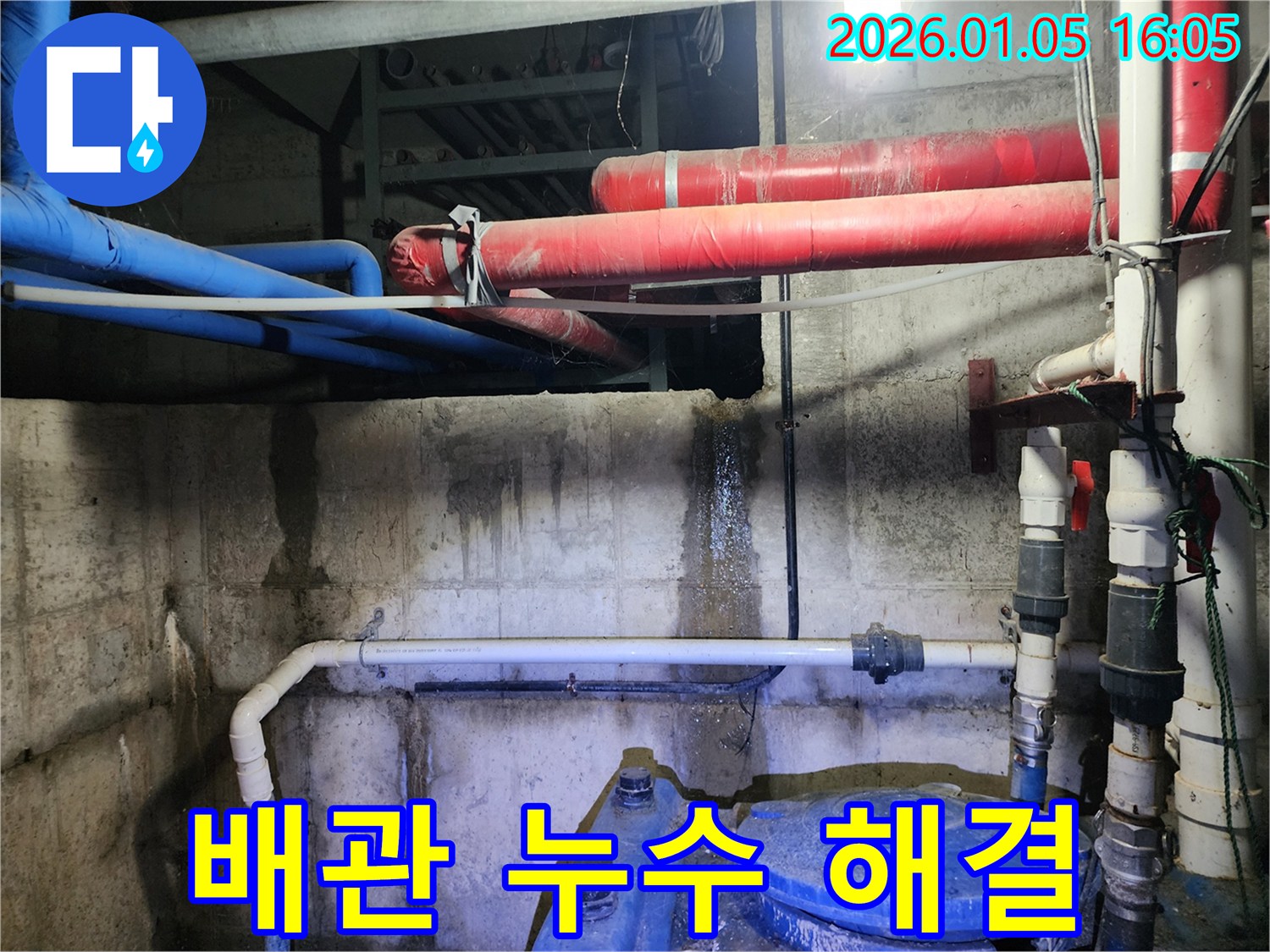 노원구 월계동 누수 현장 - 꼼꼼한 누수탐지와 정확한 공사로 누수 문제를 완벽하게 해결합니다 - 최고의 선택!