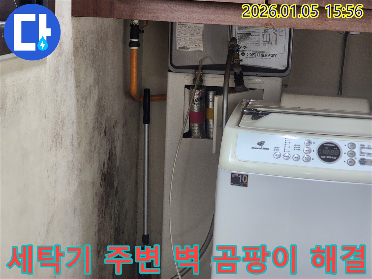 세탁기 주변 벽 곰팡이 - 월계1동 누수탐지 후 곰팡이 완벽 해결 사진입니다. 곰팡이 걱정 없이 쾌적한 공간을 만들어 드립니다.