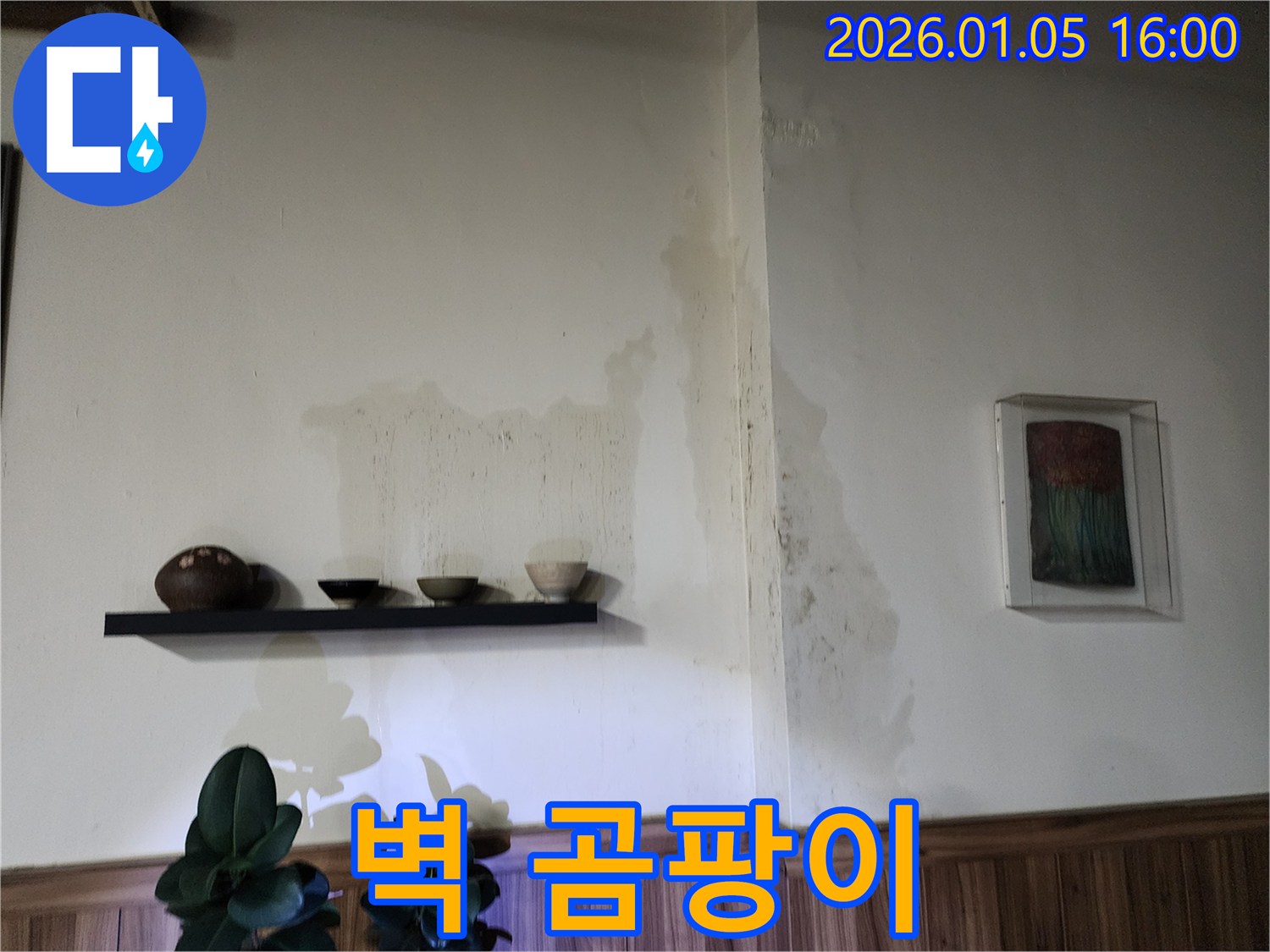 월계1동 벽 곰팡이 - 누수 문제 해결과 함께 곰팡이 제거 및 방지 시공을 진행합니다.