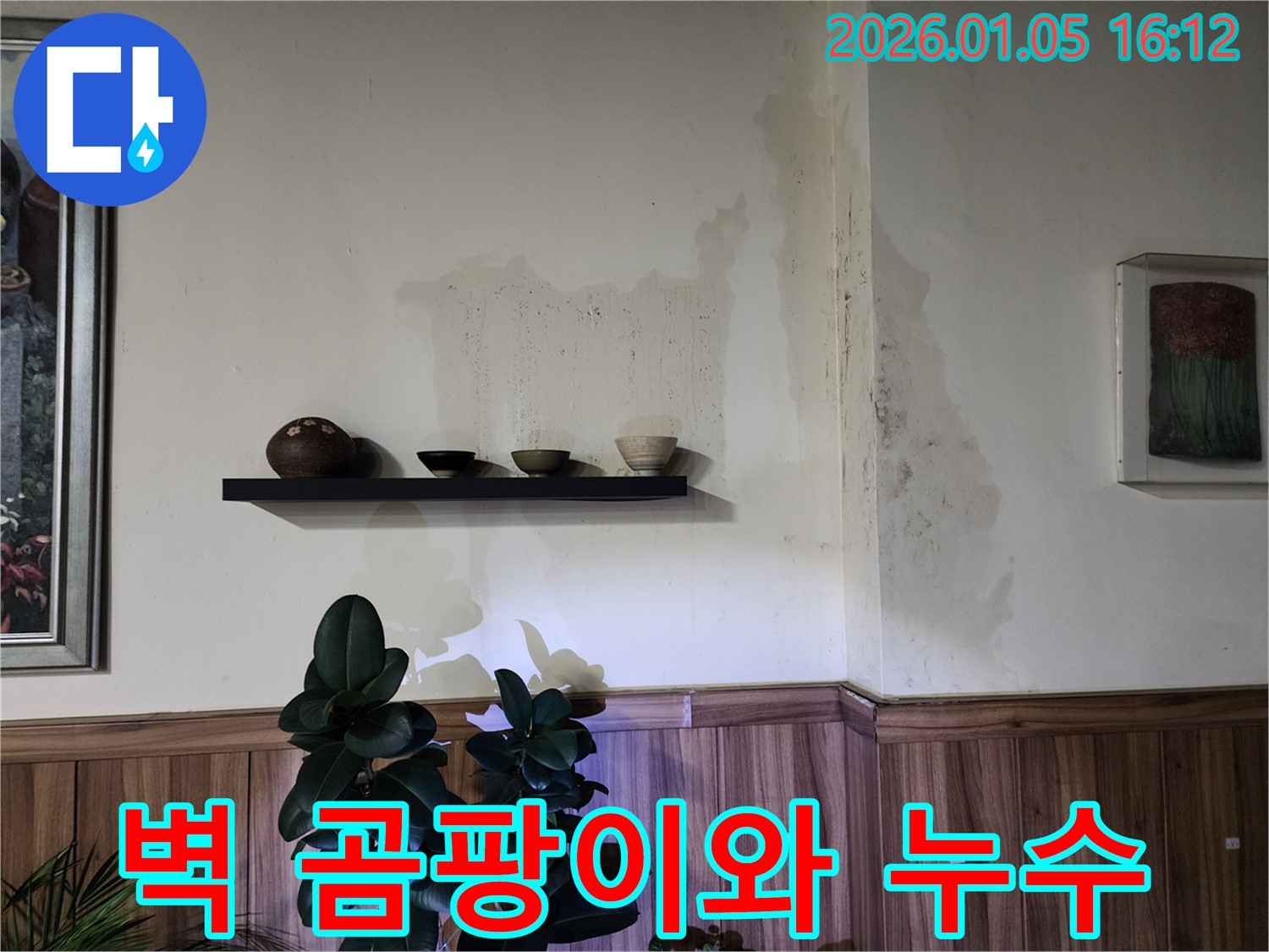 월계1동 벽 곰팡이와 누수 - 곰팡이가 심하게 핀 벽면은 누수의 심각성을 알려주는 증거입니다.