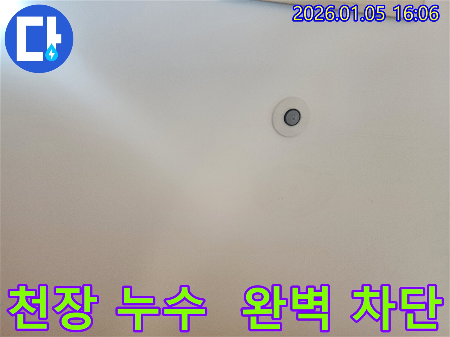 천장 누수 발생 지점 - 누수 확산을 막기 위한 베테랑의 초기 대응
