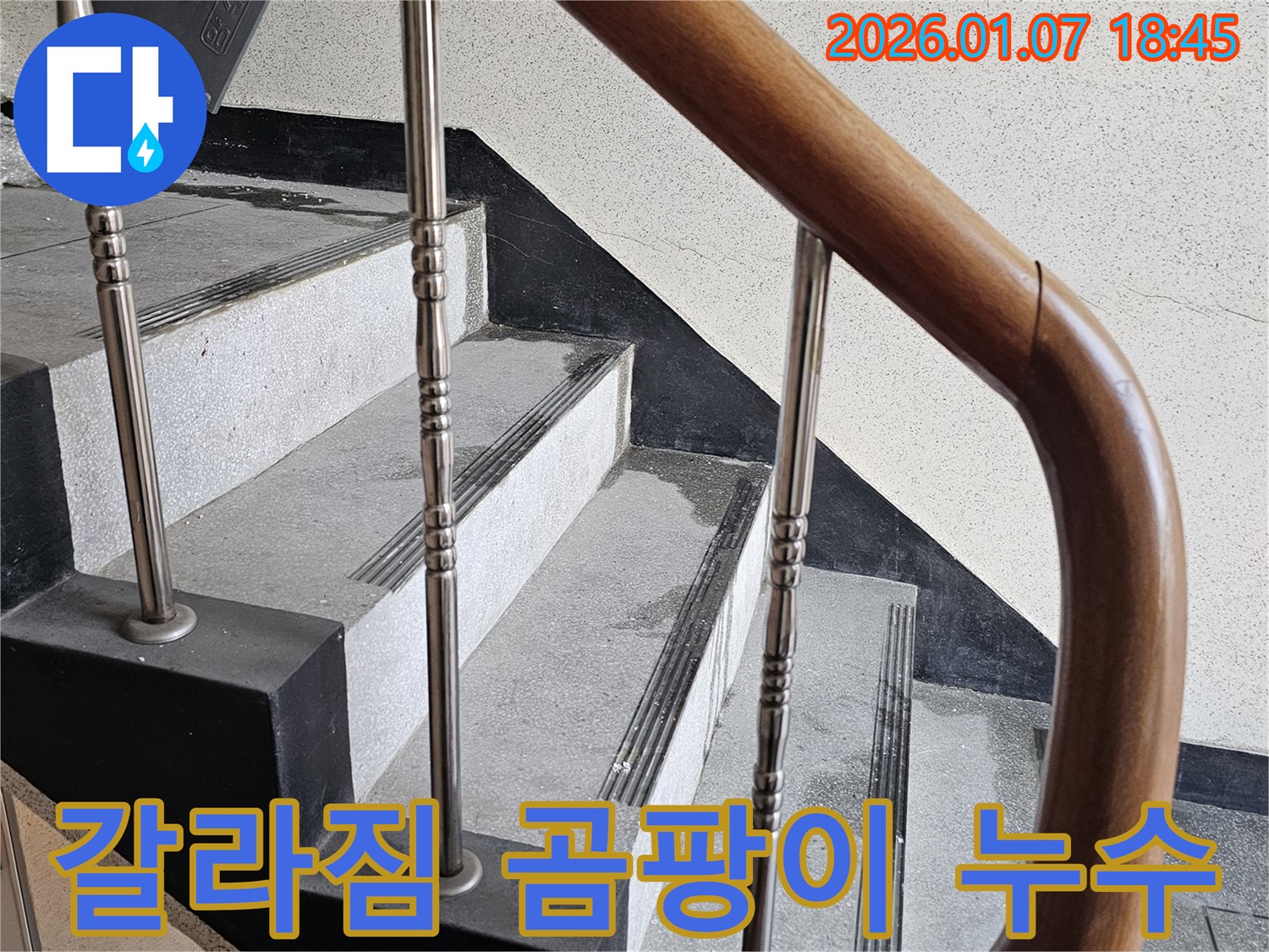 동두천 누수 - 중앙동 계단실 벽면 갈라짐 사이 곰팡이 누수 - 건물 노후화 가속, 철저한 관리
