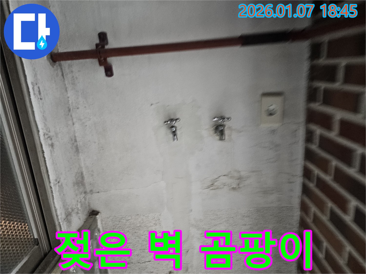 젖은 벽과 곰팡이 - 누수 문제의 심각성