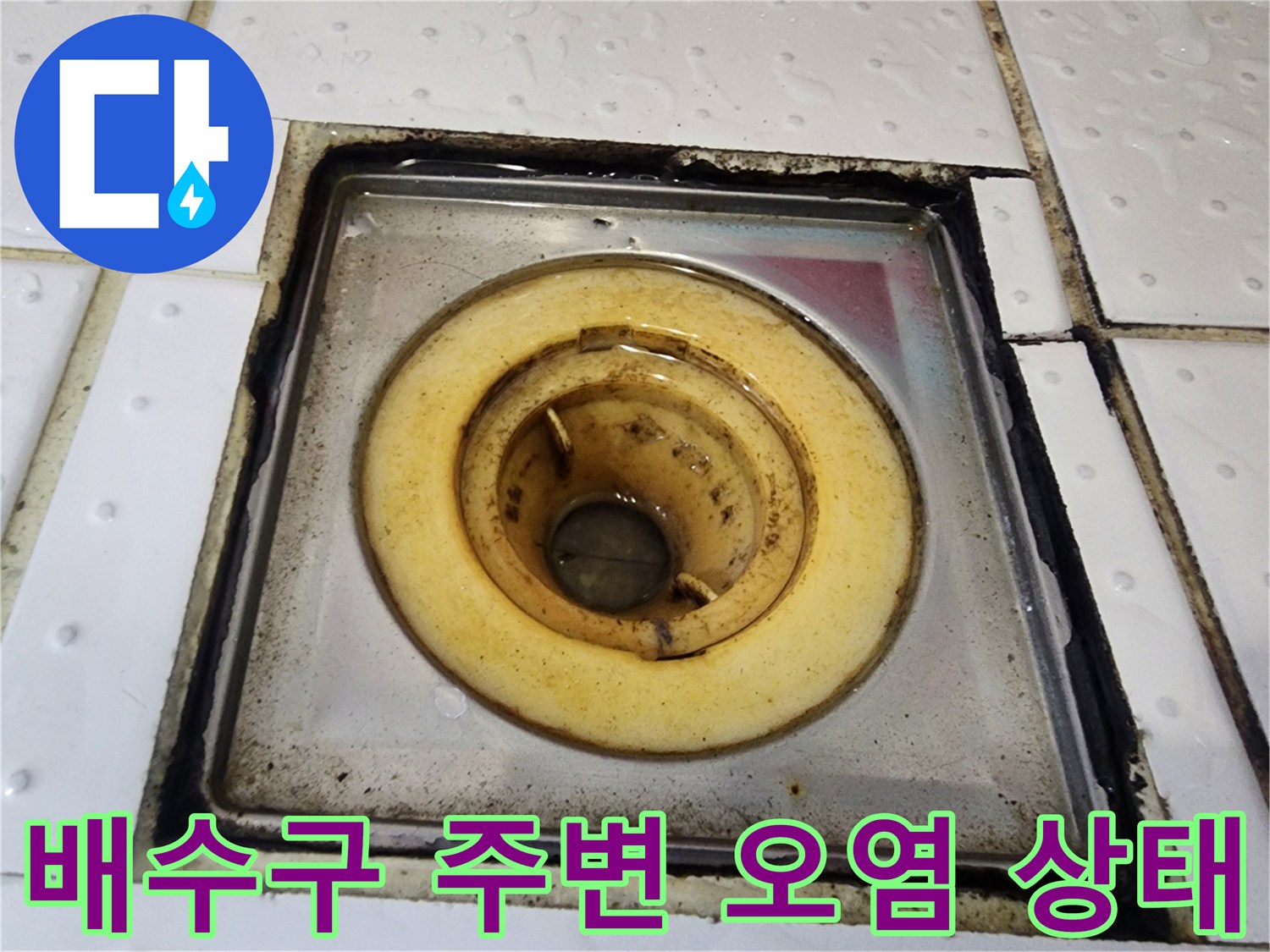 욕실-하수구-배수구-주변의-오염된-타일-및-유가