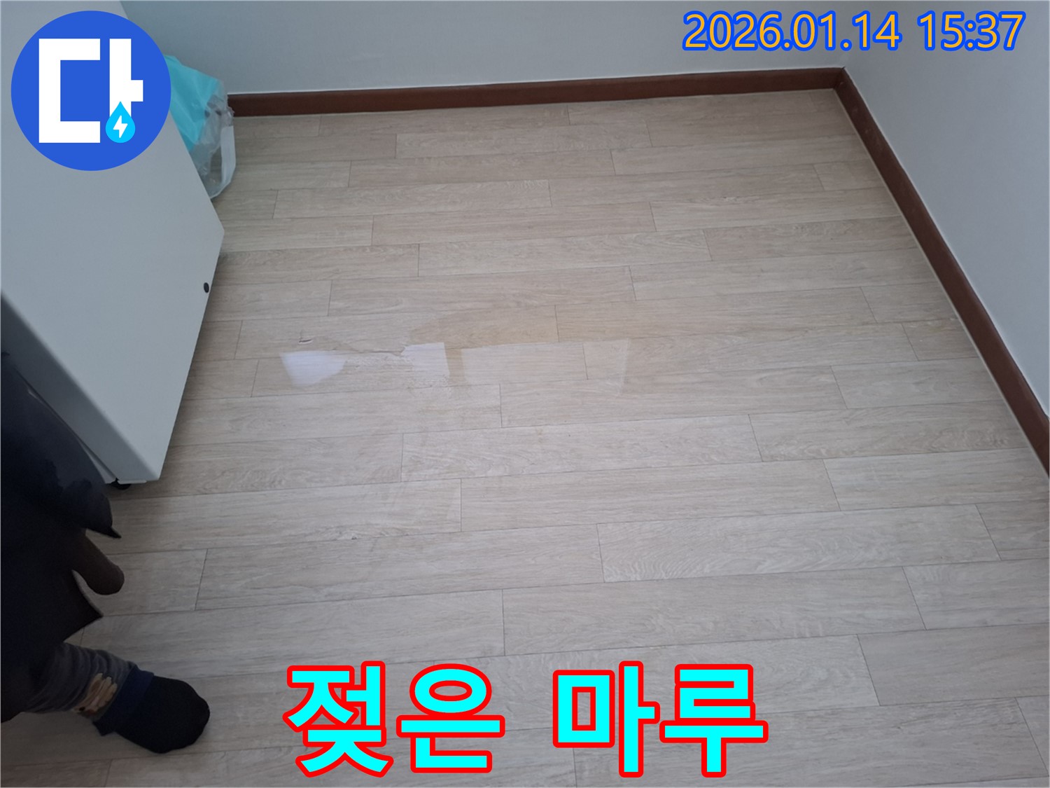 시흥 황고개로206번길에서 마루 젖음 현상을 확인하고 빠른 누수 탐지의 중요성을 강조합니다 - 신속한 조치가 필요합니다.
