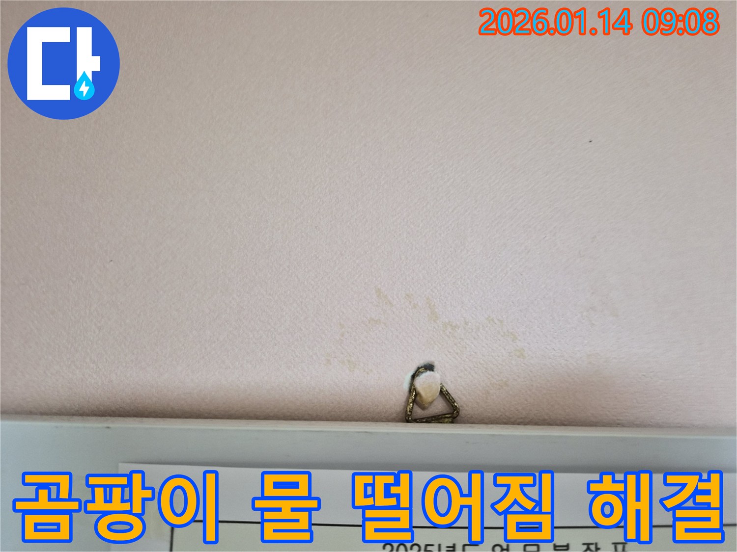 강남구 도곡동에서 곰팡이와 물 떨어짐 문제를 누수탐지 전문가가 완벽하게 해결합니다 - 안심하고 맡기세요!