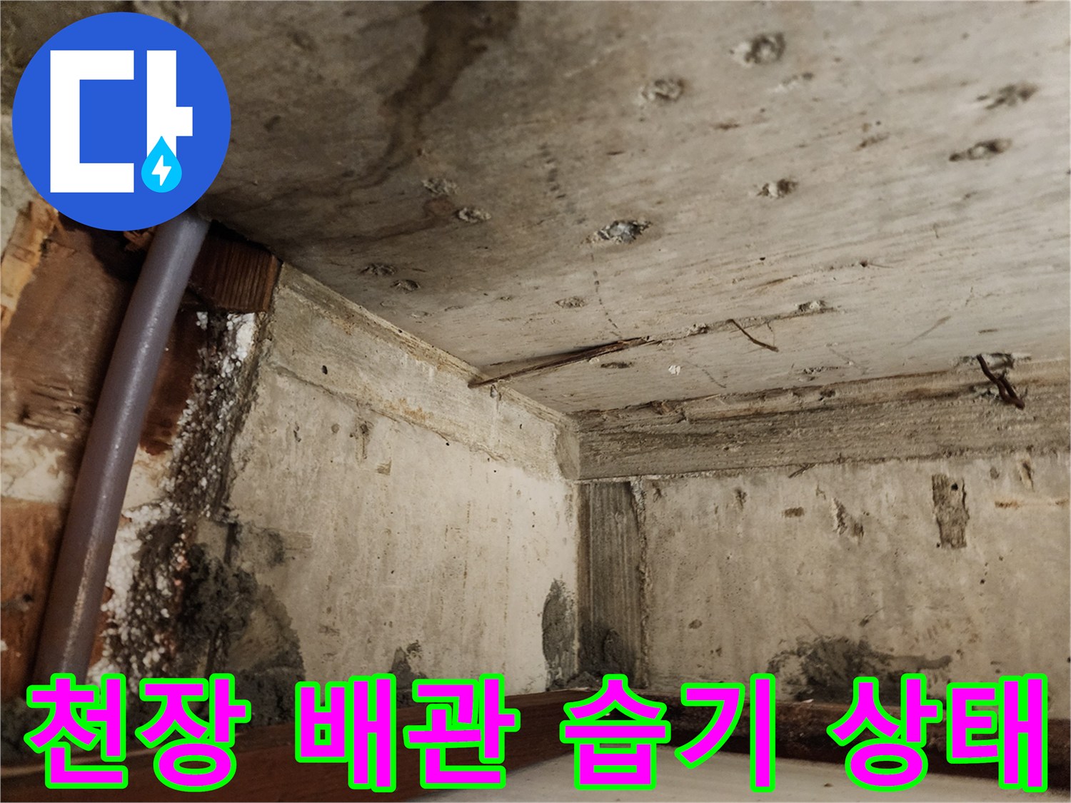 마포구 현장-화장실 천장 내부의 습기와 배관 노출 상태