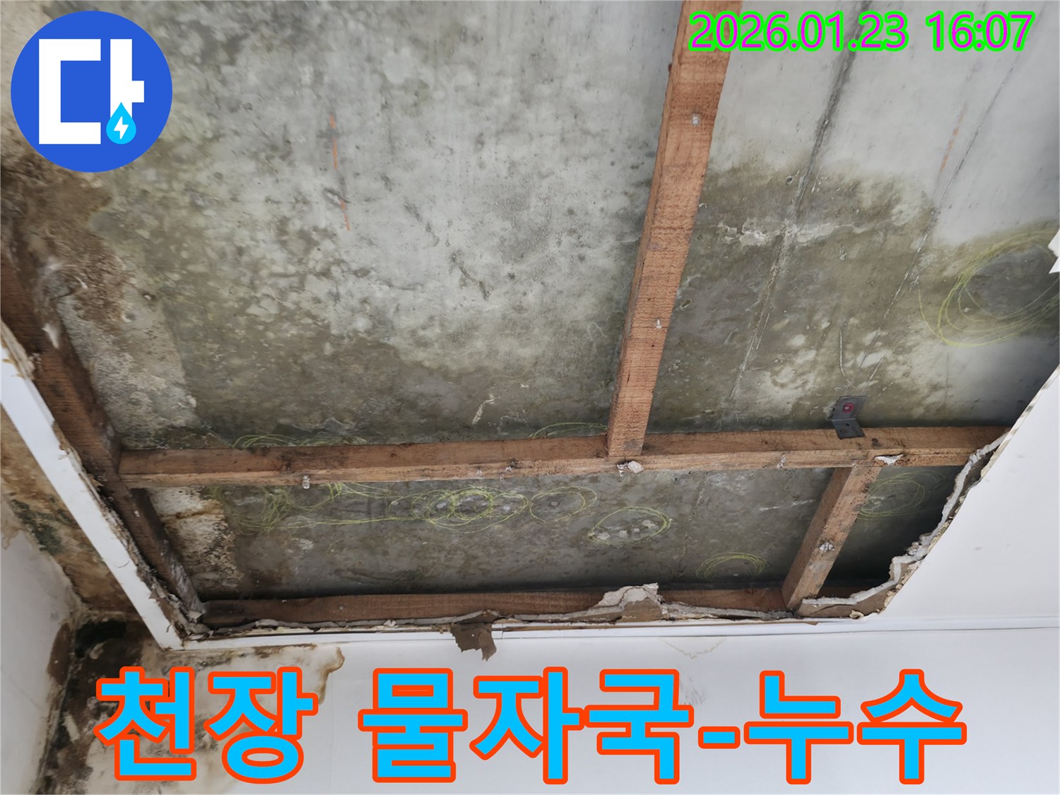 천장 물자국이 심각한-콘크리트 슬라브와 나무 지지대가 노출된-광명 금하로 누수 현장