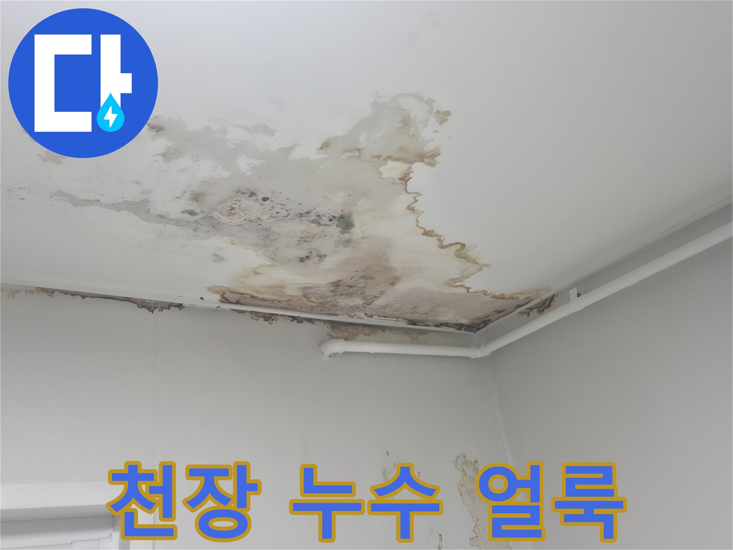노원구 중계동 아파트-천장 부분의 물샘 흔적과 변색된 상태