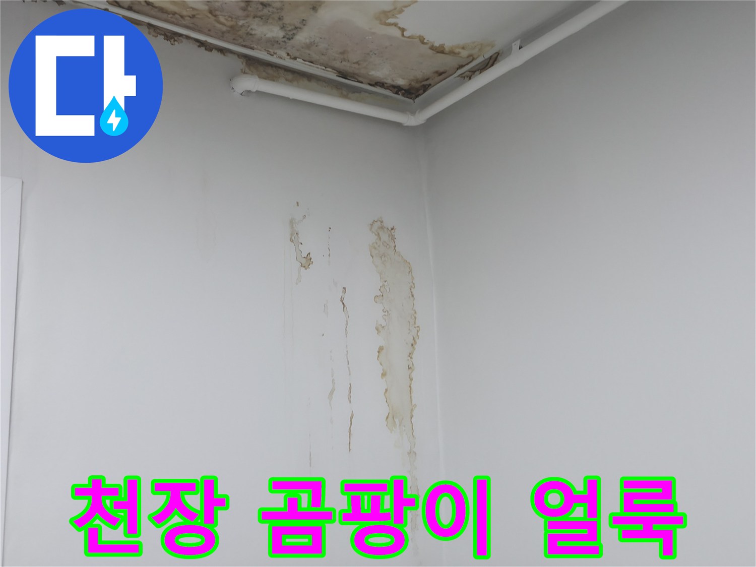 벽지 곳곳에-번져있는 곰팡이와 습기 흔적