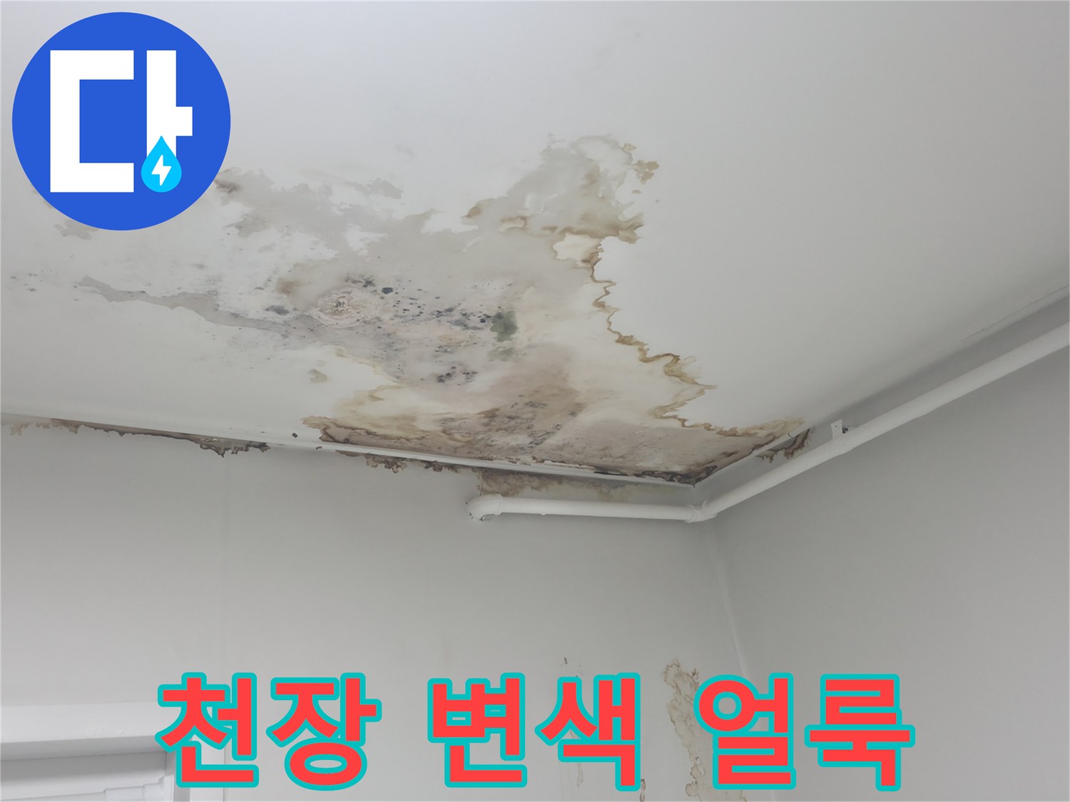 천장 곳곳에 나타난 갈색 누수 흔적과 변색 부위