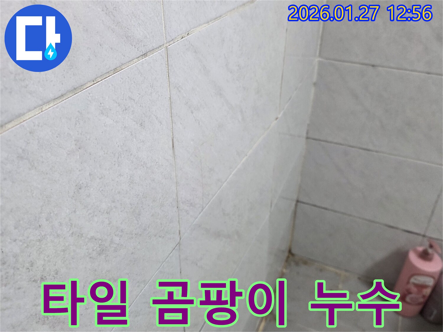 타일 곰팡이 누수 - 부천 누수탐지 전문가는 욕실 타일의 곰팡이를 누수의 명확한 신호로 보고 근본적인 원인을 해결합니다.