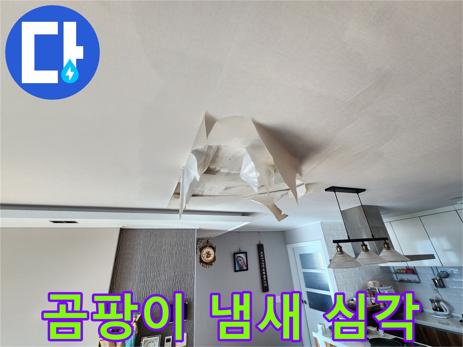 천장 누수 - 곰팡이 냄새 - 건강 위협 - 즉시 해결