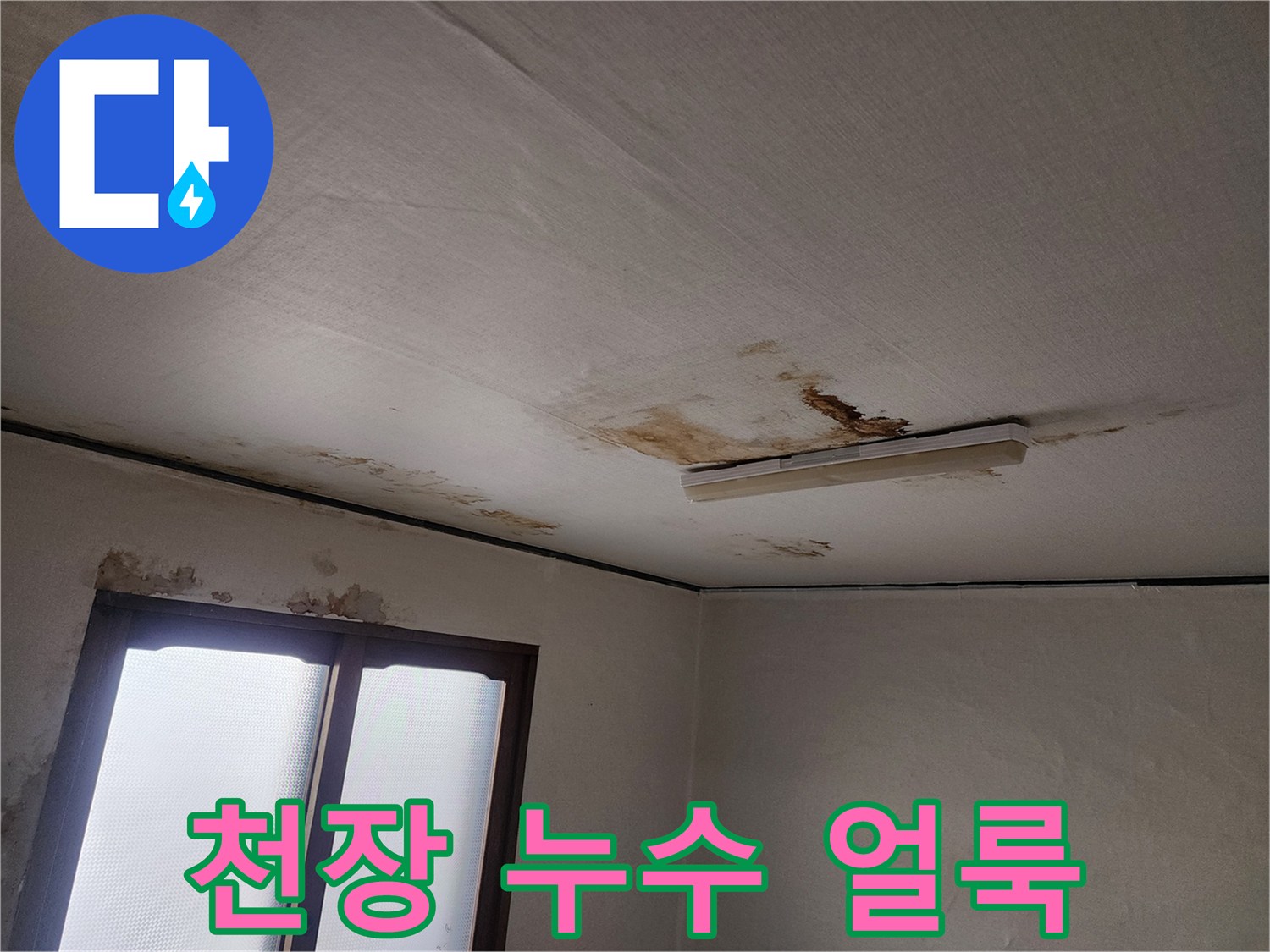 아래층 거실 천장에 발생한 넓은 물샘 흔적과 변색 부위