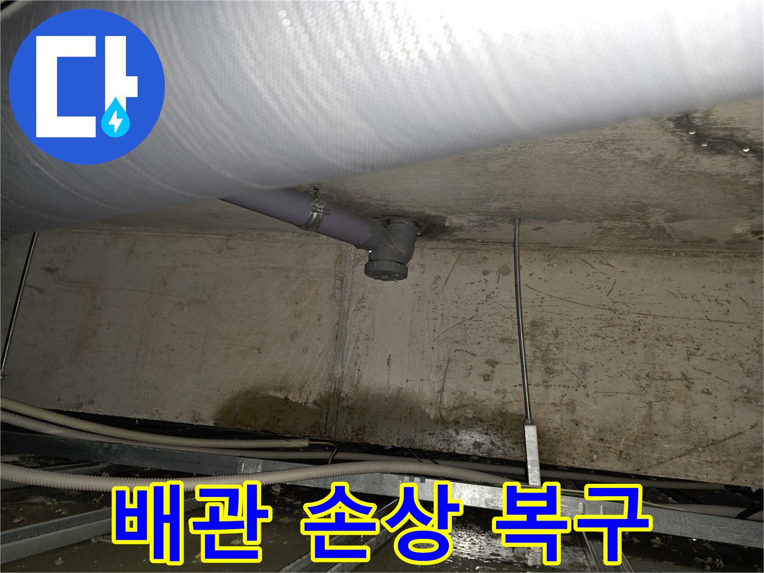 목동 아파트 하수구 누수 - 배관 손상으로 인한 누수 완벽 복구