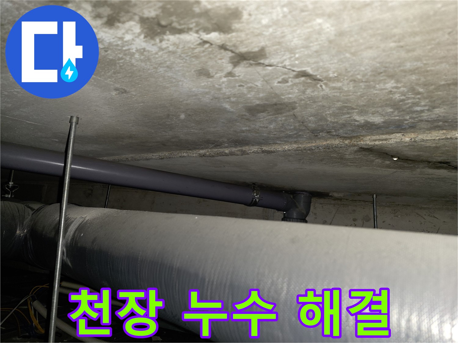 목동 누수 진단 - 누수 전문가의 꼼꼼한 진단을 통한 정확한 원인 파악