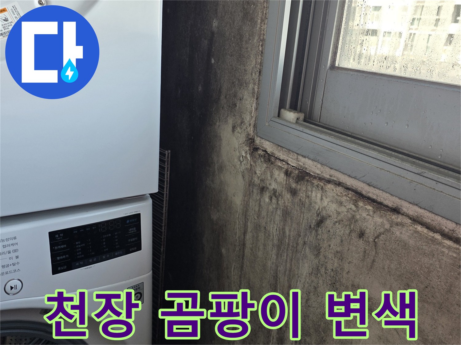 세탁실 천장-곰팡이가 발생한 벽면 부위