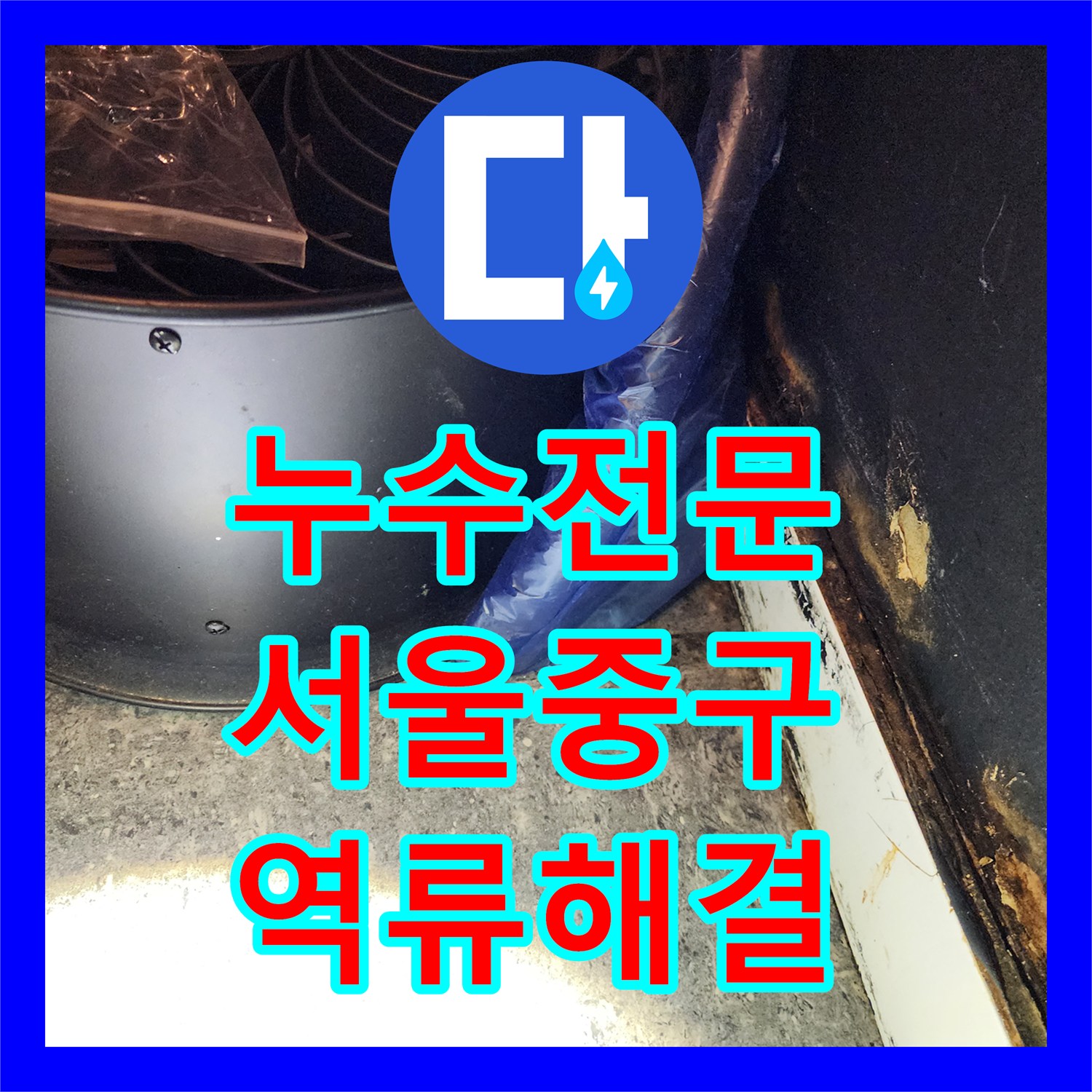 누수전문 지하 화장실 바닥 역류 현상을 해결하기 위해 배관을 교체한 서울 중구 작업기
