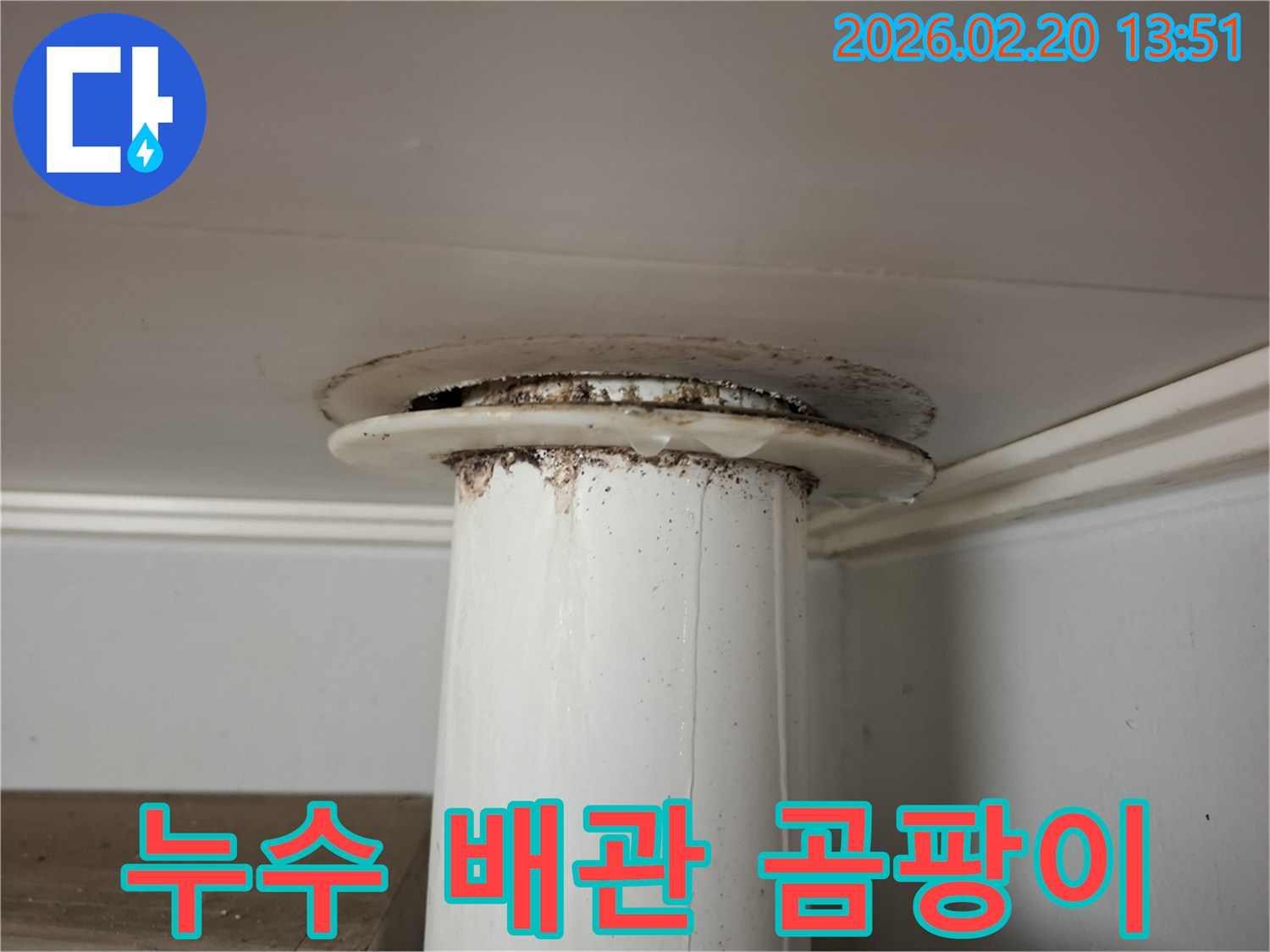 천장 관통 배관에서 물이 새어-검은 곰팡이와 오염이 생긴 모습을 담은 사진