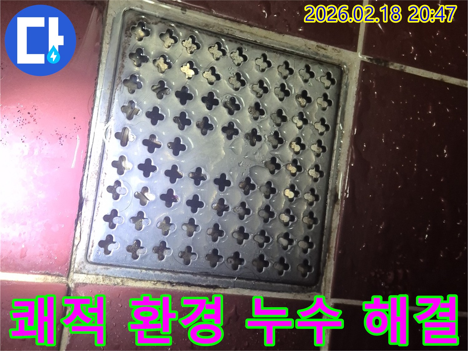 양주 백석읍 욕실 바닥-배수구 주변 물고임 현상을 해결하여-쾌적한 환경을 조성하는 모습
