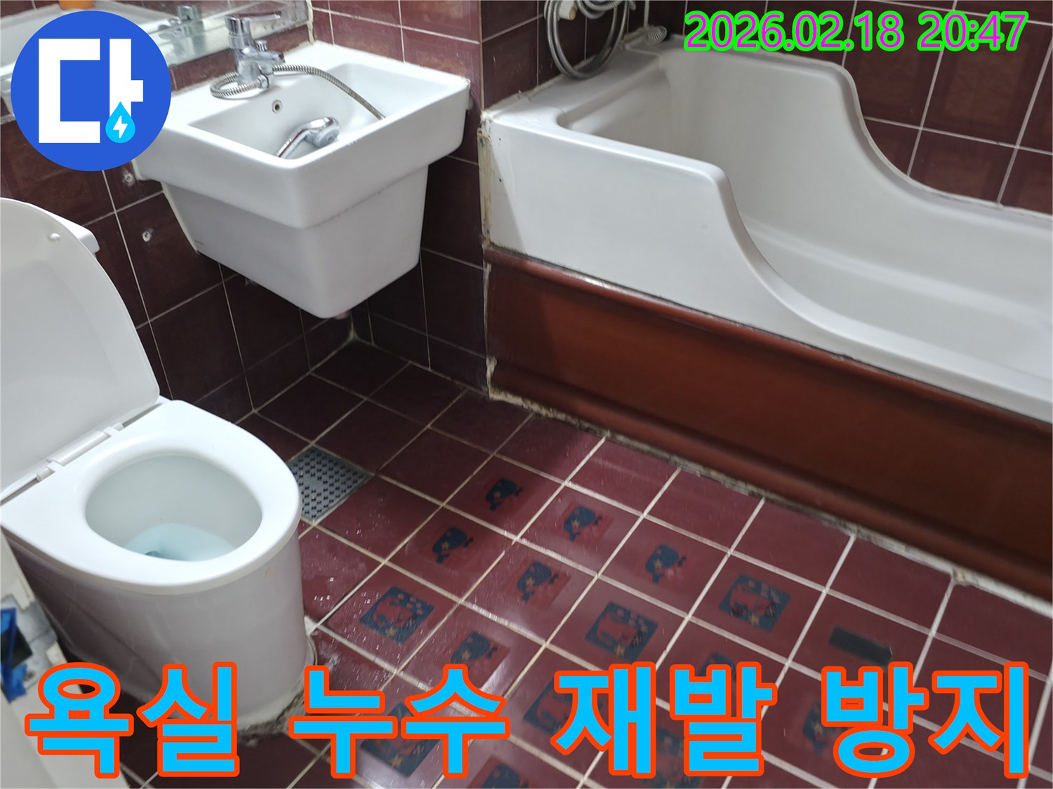 욕실 바닥 타일과 변기-욕조 주변에 물기가 고여있는 모습으로-누수 전문가가 정확한 탐지로 재발을 방지하는 현장