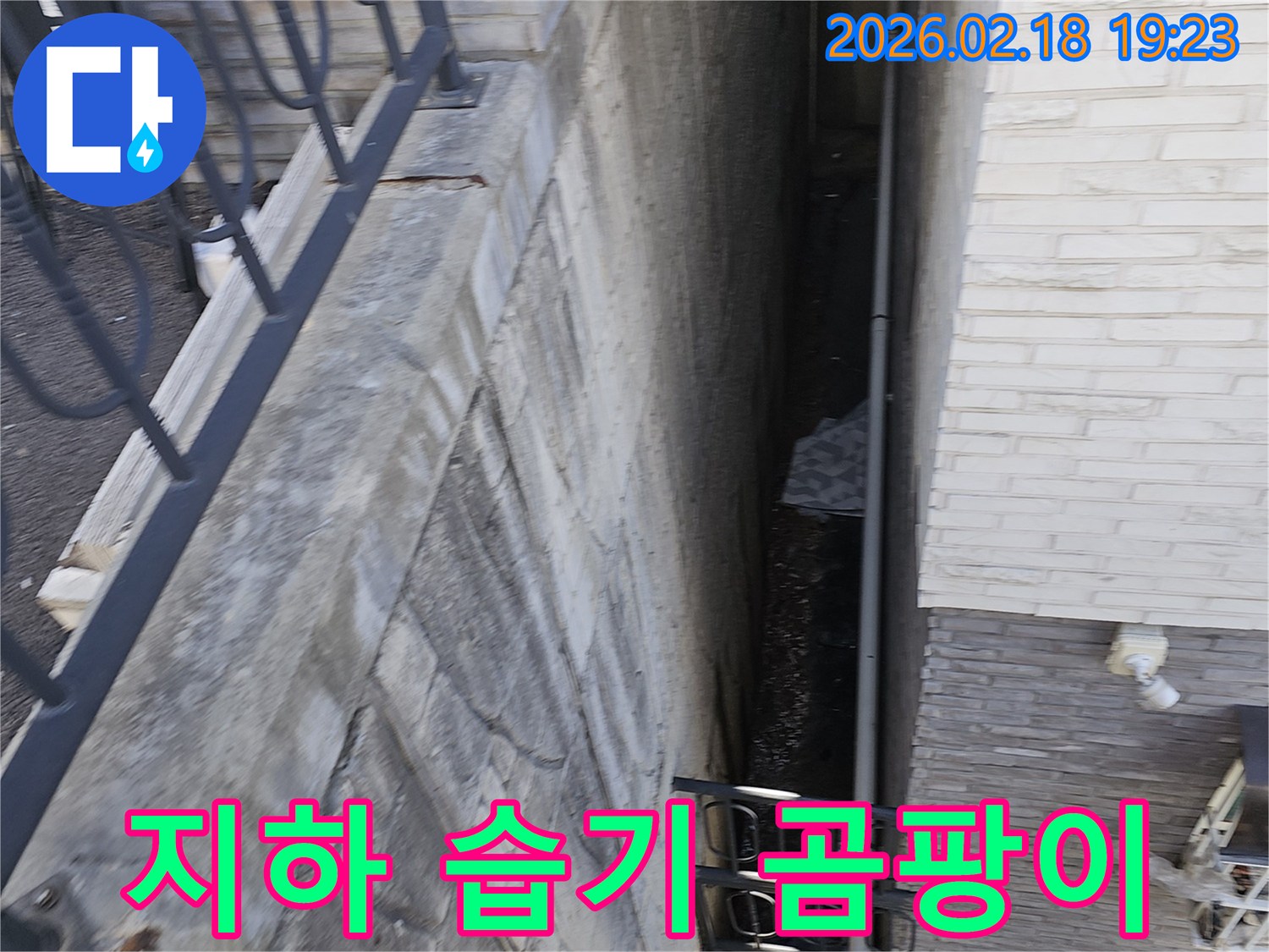 지하 공간 바닥에 물기가 보이고-전반적으로 습한 환경을 나타내는-누수 현장 이미지