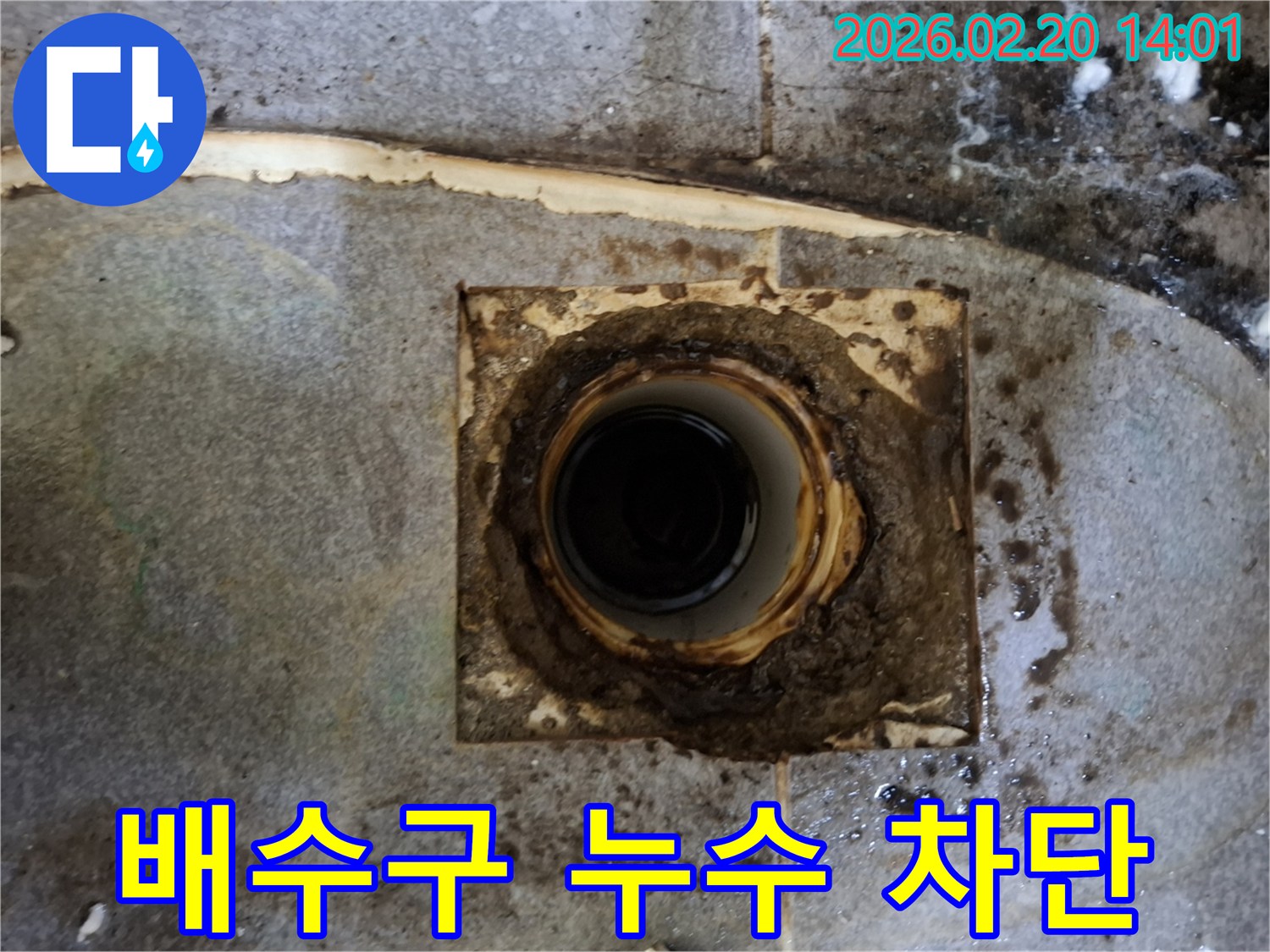 누수 전문 엔지니어가-배수구 주변의-오래된 배관과-오염된 틈새를-확인하고 있는 사진