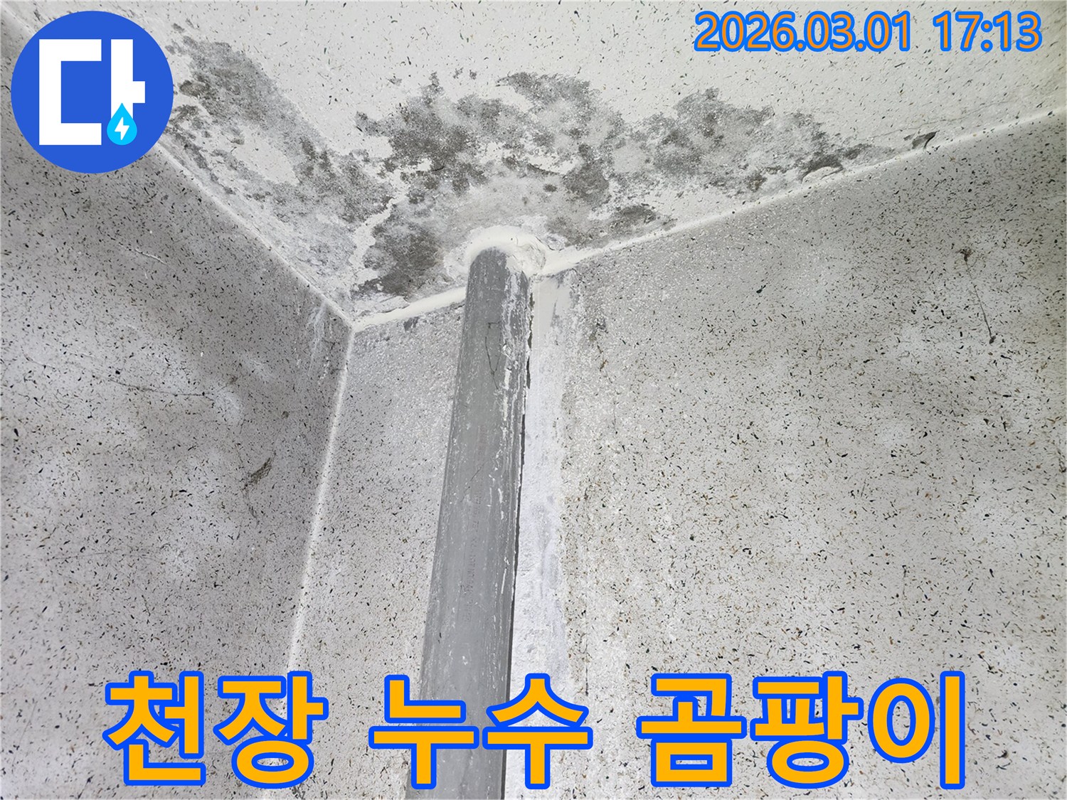 천장 모서리-누수로 인한 벽면 변색과 곰팡이 발생