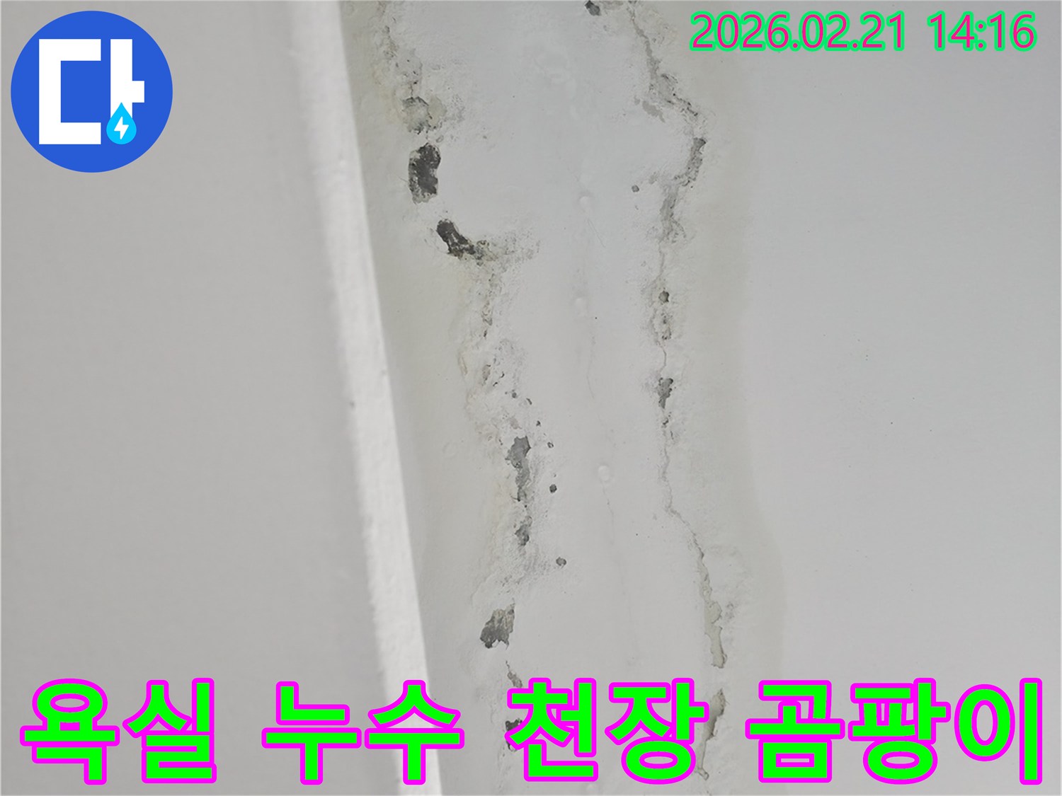 천장-누수로-인해-벽면에-발생한-심각한-곰팡이와-물자국을-보여주는-사진