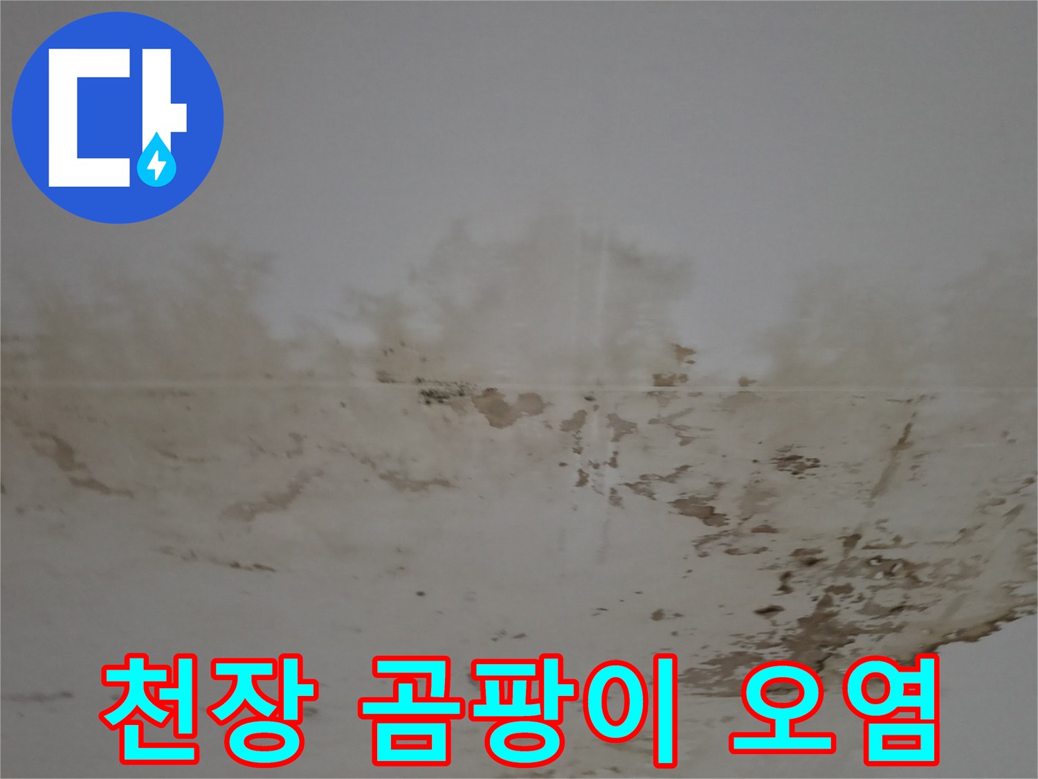 세탁실 천장-심한 곰팡이와 도배지 변색