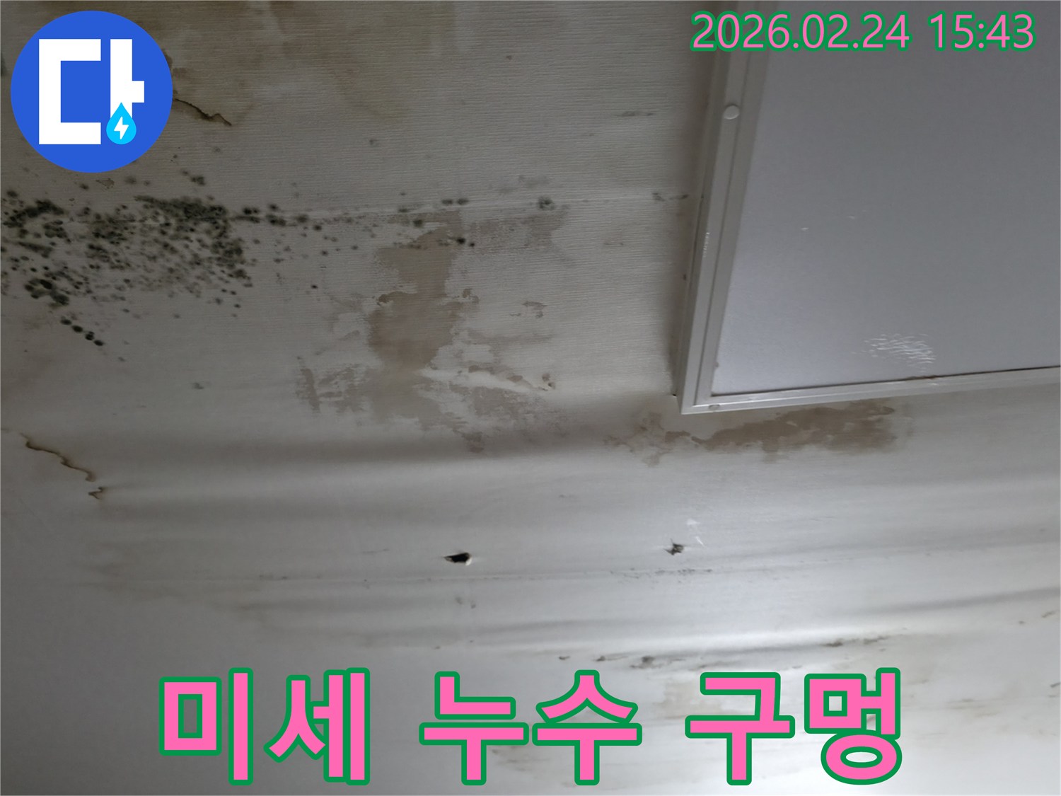 천장에-물얼룩과-곰팡이-그리고-작은-구멍까지-보이는-심각한-누수-현장-사진