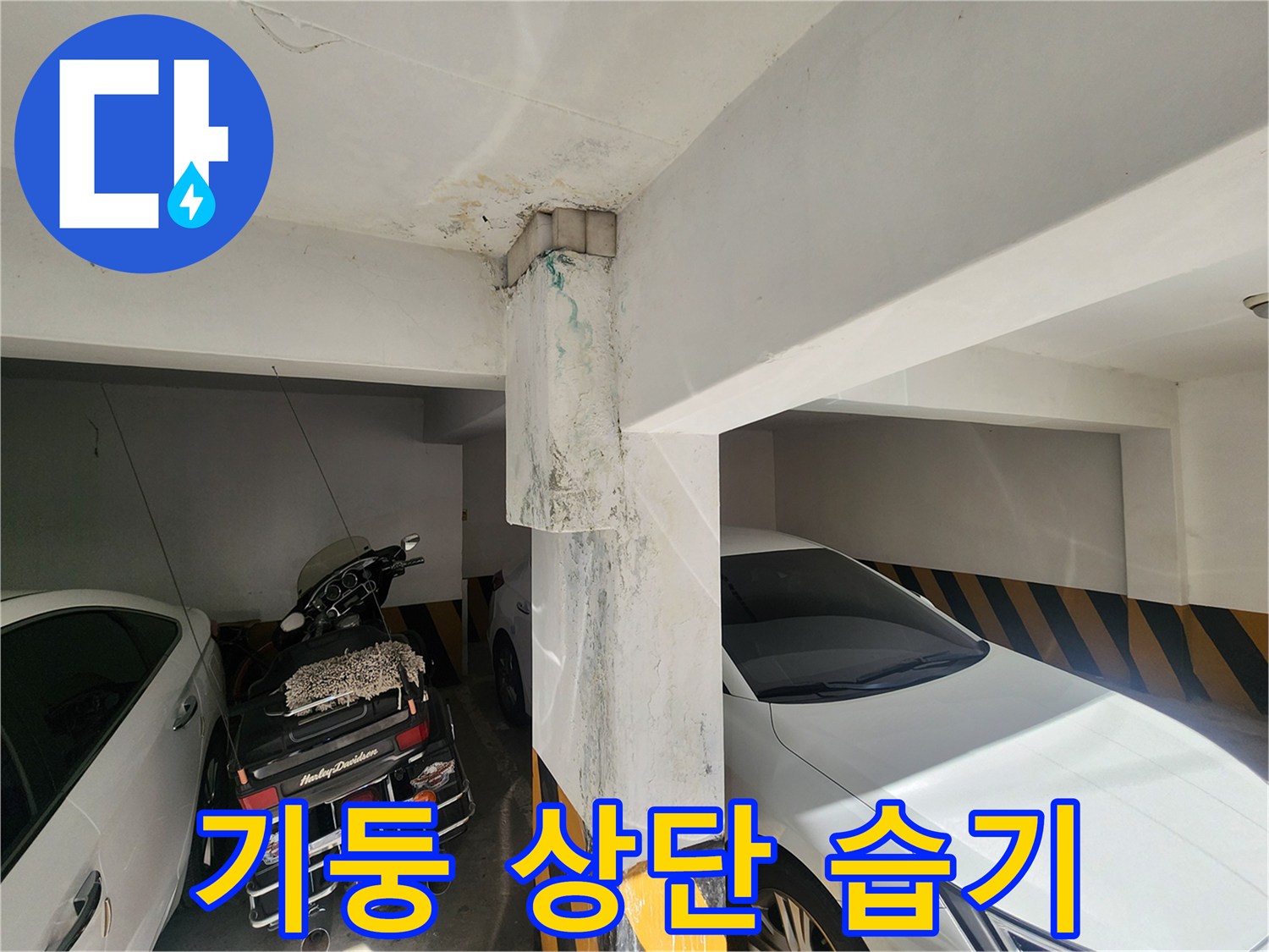 누수로 인해 젖어있는 주차장 기둥과 천장 부근