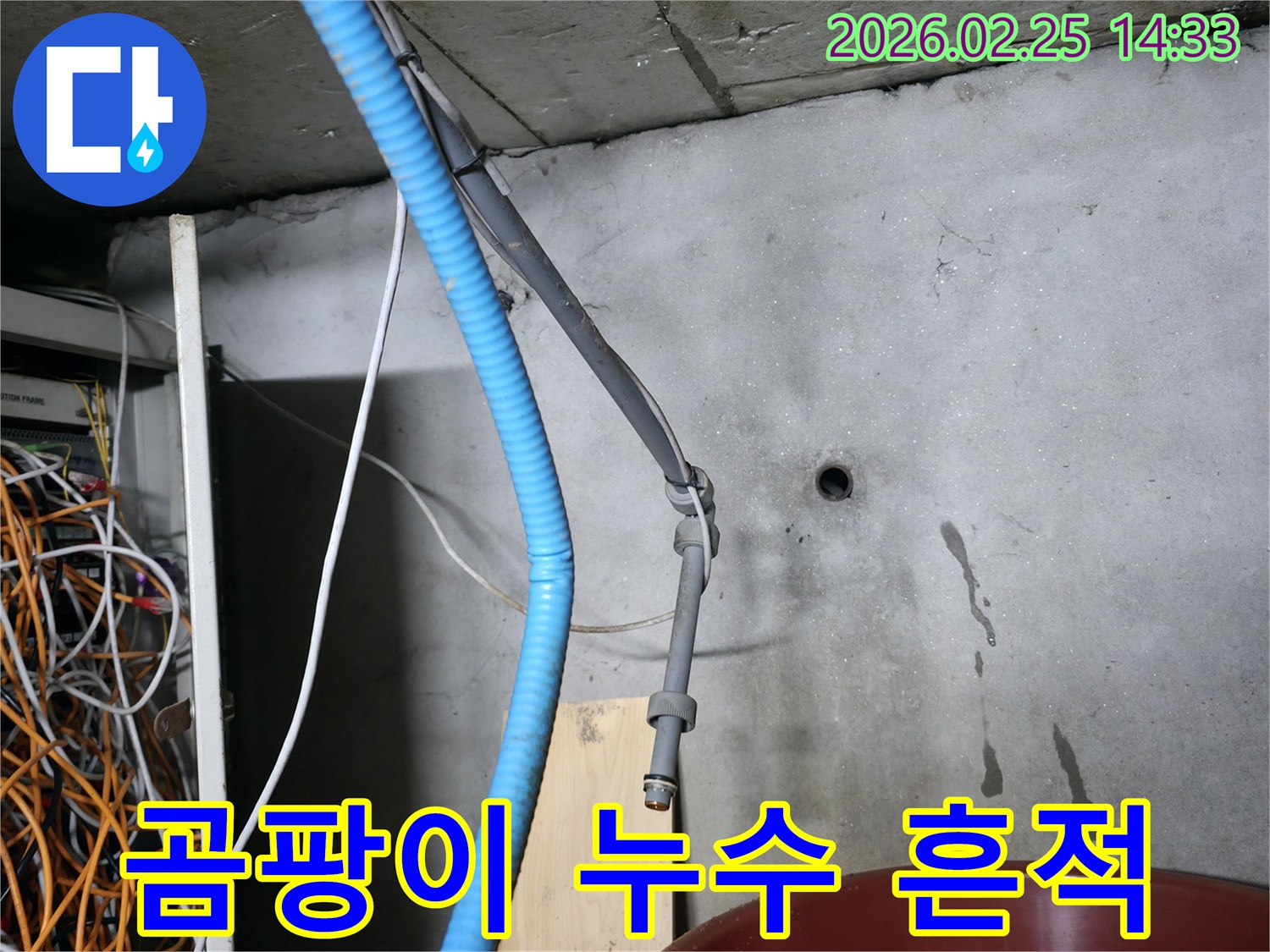 강동구-누수-현장에서-전문가가-벽면의-물기-흔적과-곰팡이-발생-여부를-살피는-모습입니다