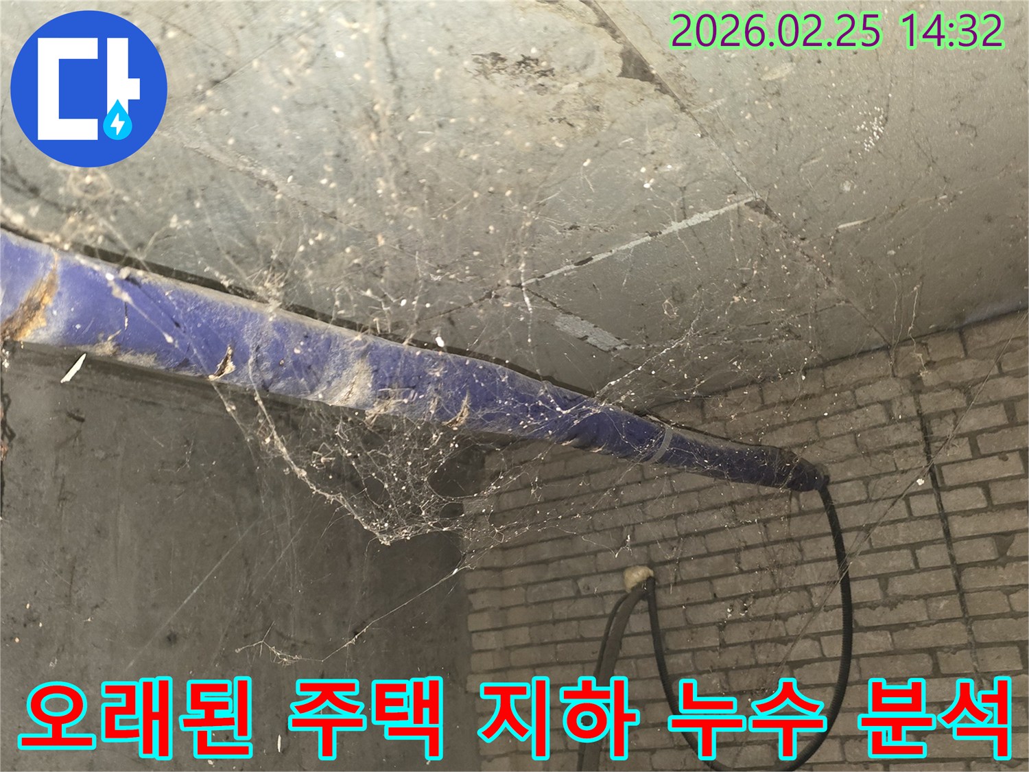 강동구 진황도로 인근 오래된 주택-지하 천장에 거미줄이 엉켜있는-누수 탐지 전-현장 준비 모습을 담은 사진입니다.
