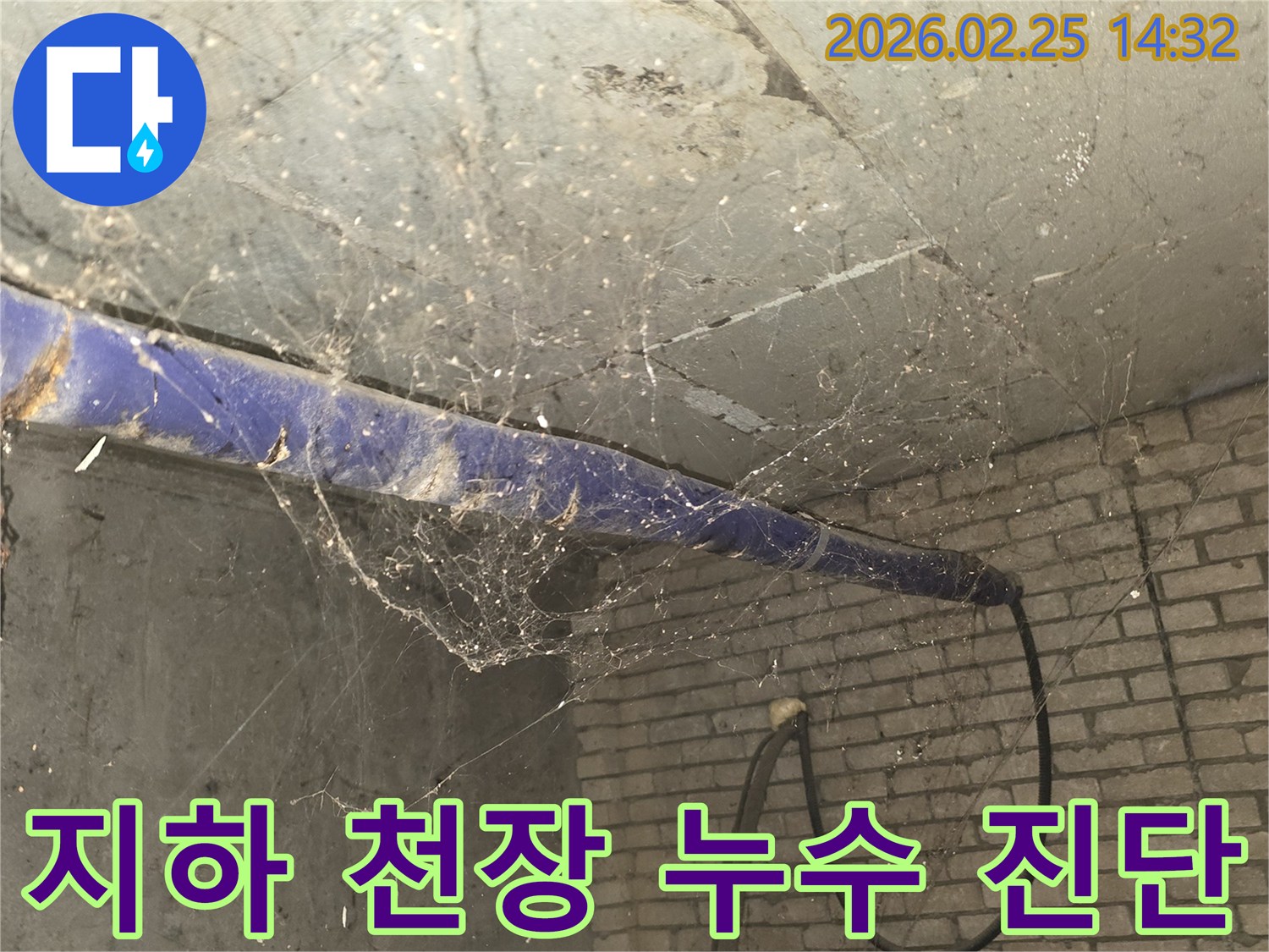 서울 강동구 진황도로 인근-오랜 시간 방치된 지하 천장에-거미줄이 덮인-누수 정밀 진단 전-현장 상황을 기록한 사진입니다.