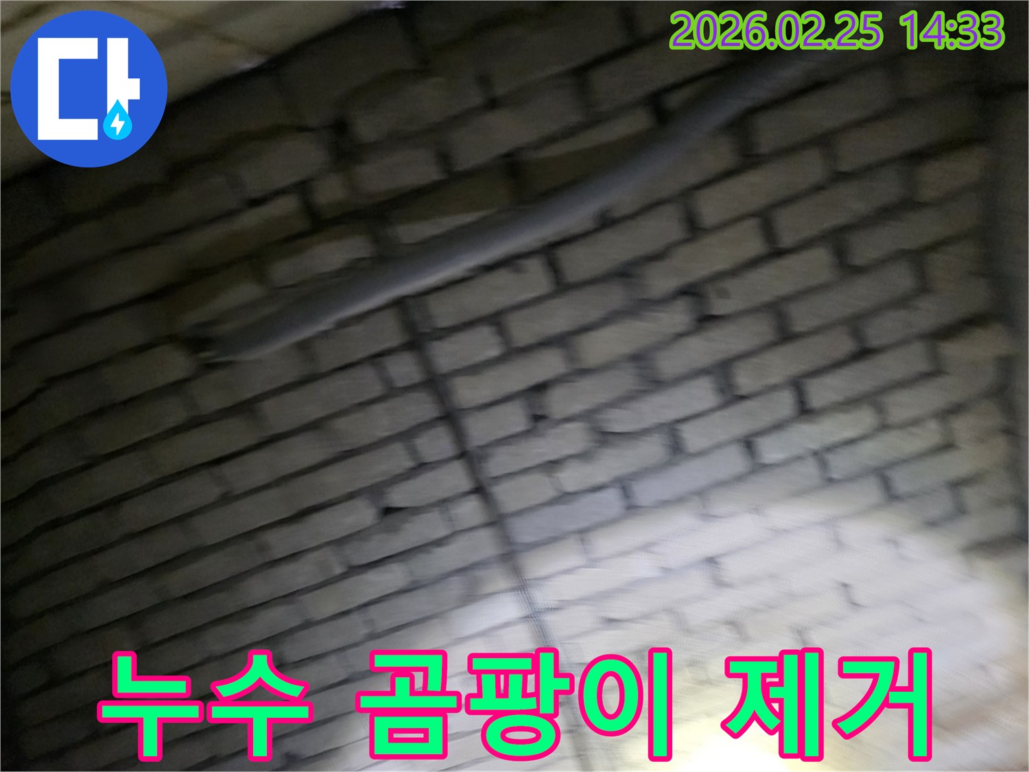 어두운-벽돌벽-내부의-배관-누수로-인해-발생한-곰팡이를-제거하고-주변을-정리하는-전문가의-모습-위생적인-환경-조성