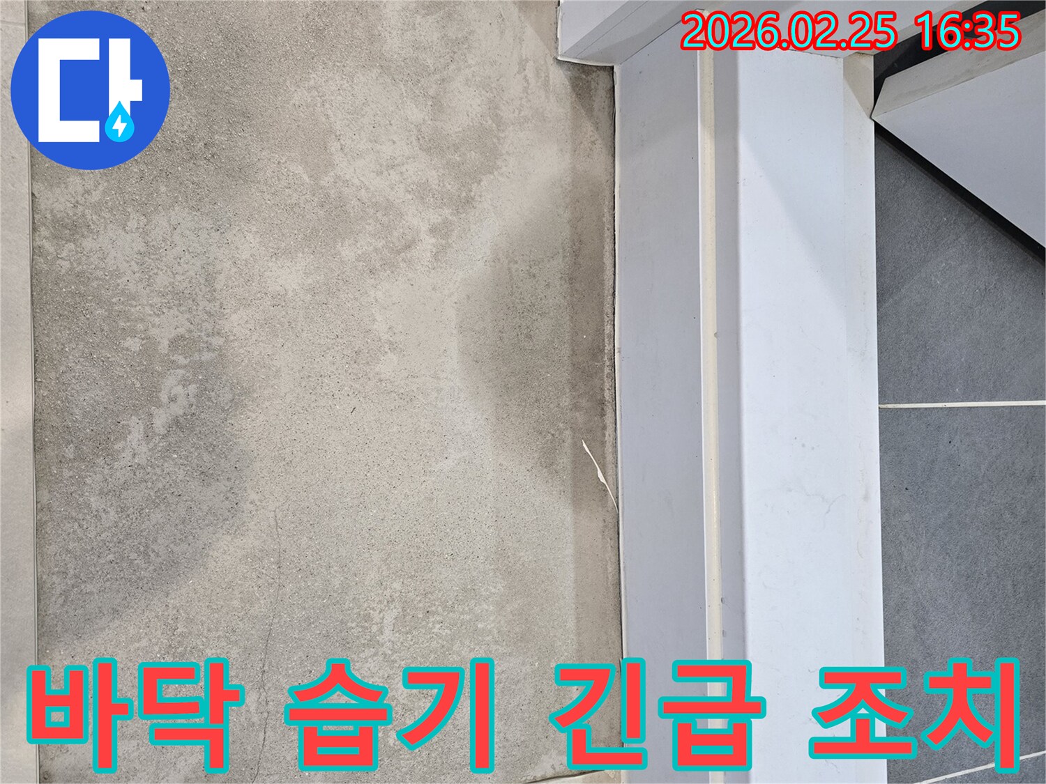 누수-전문가가-바닥에-나타난-습기-흔적을-통해-곰팡이-발생-전에-누수-원인을-정밀하게-탐지하고-긴급-조치하는-모습