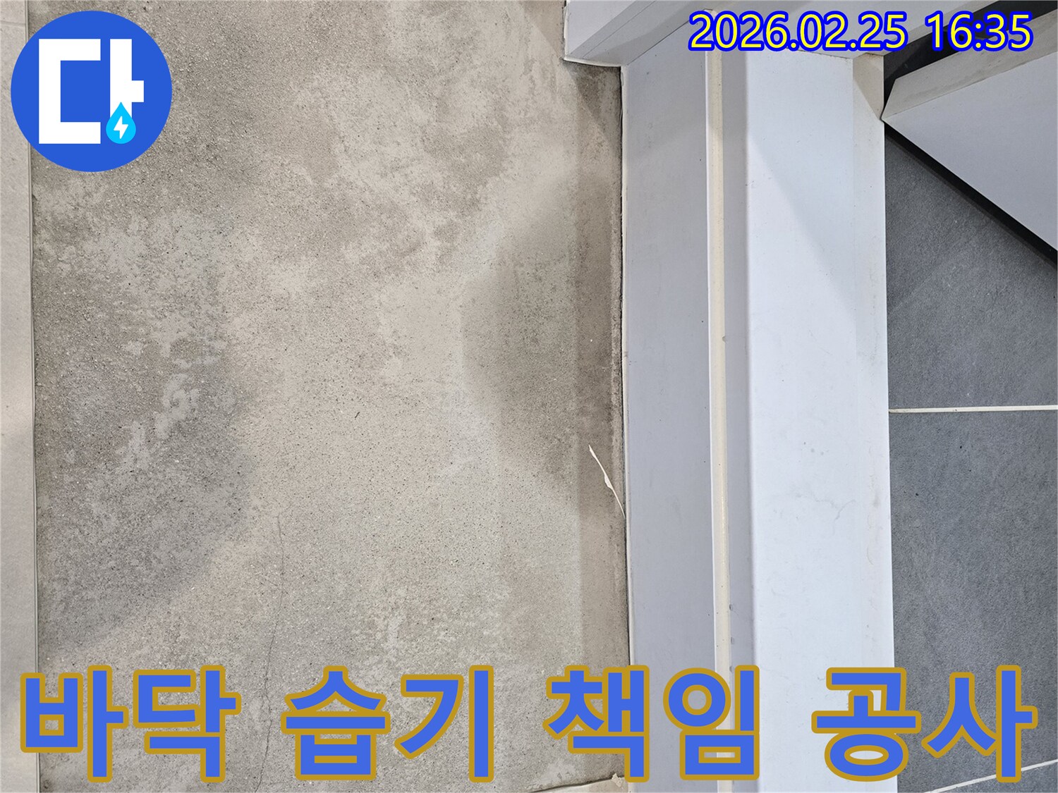누수-전문가가-바닥에-나타난-습기-흔적을-통해-책임감-있는-자세로-누수-공사를-진행하는-모습