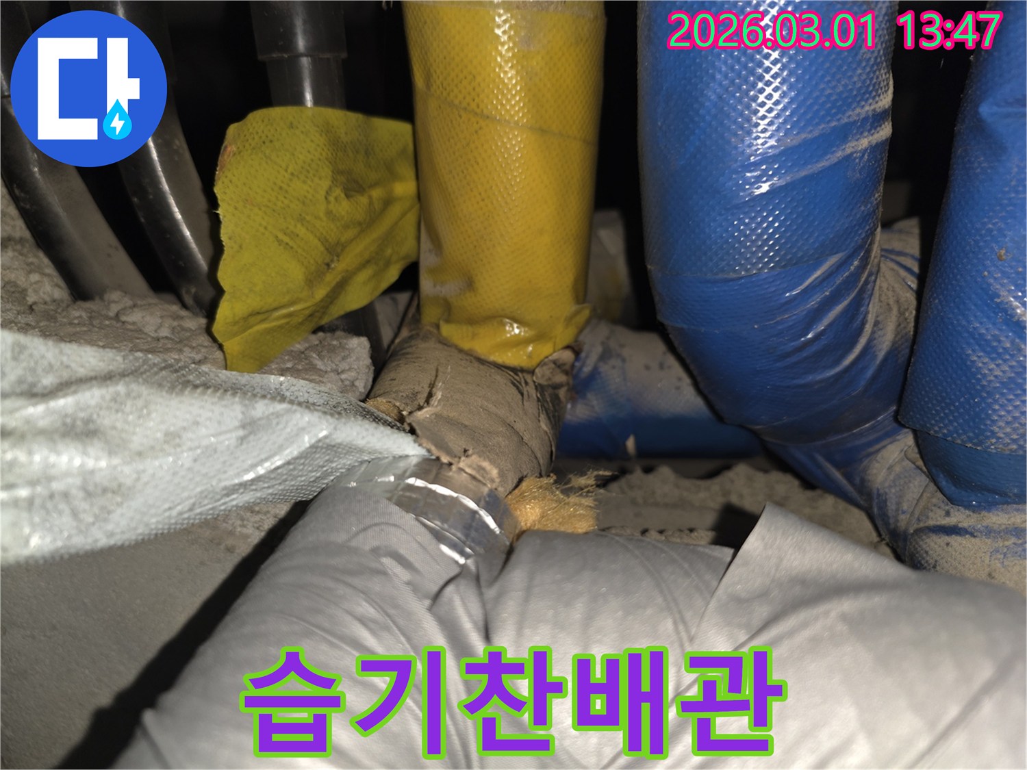 누수 탐지 중 발견된-배관 단열재의 심각한 손상 부위를 촬영한 것입니다.