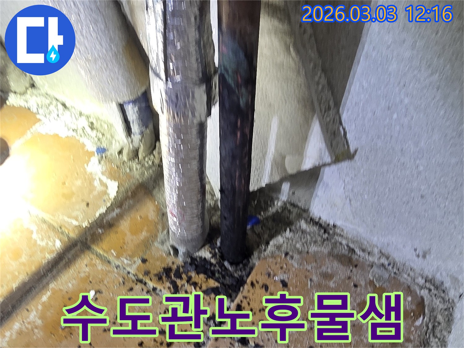 양주-광적면-주택의-수도관-노후로-인해-발생한-물샘-현장을-정밀하게-진단하고-보수하는-모습