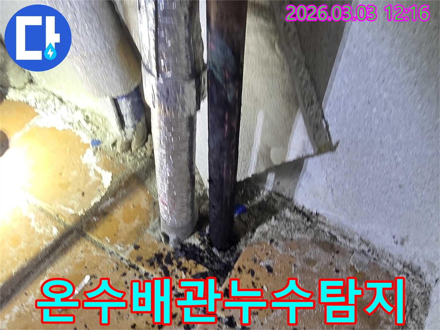 양주-광적면-주택의-온수배관에서-발생한-누수를-정확히-찾아내기-위해-전문가가-정밀-탐지-장비를-사용하여-현장을-점검하는-모습