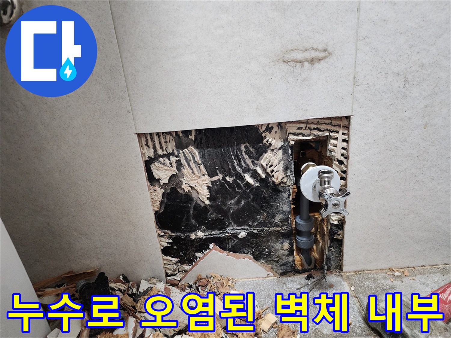 배관 주변의 검은 곰팡이와 습기가 가득한 화장실 벽면 내부