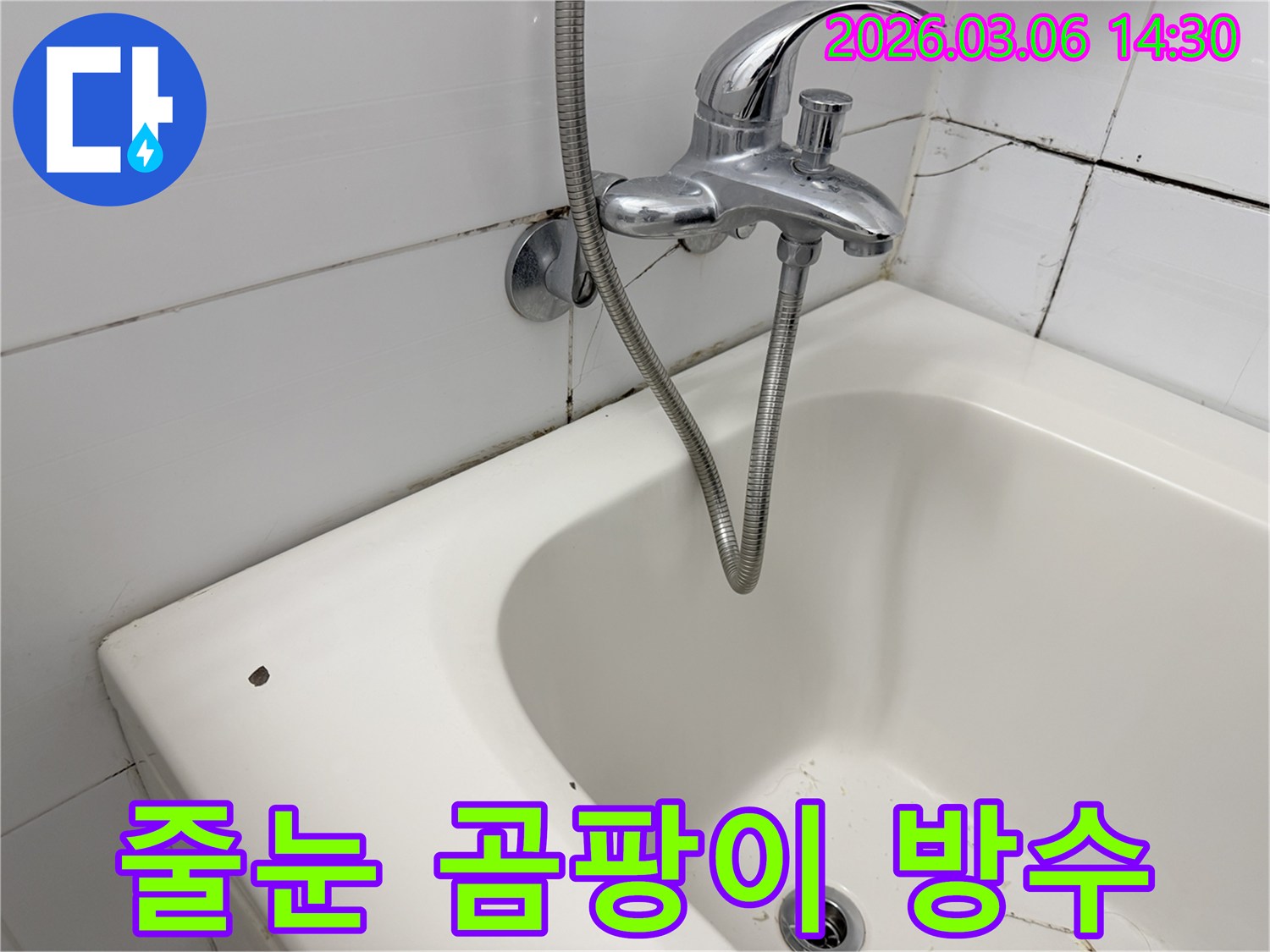 욕실 벽면 타일 줄눈에-광범위하게 퍼진 검은 곰팡이와-손상된 줄눈의 모습입니다.