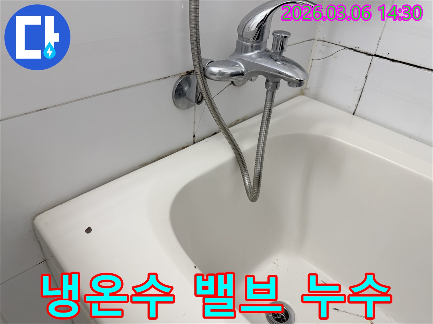 욕실 수도꼭지의 냉온수-조절 손잡이 주변과-벽면의 곰팡이가 보입니다.