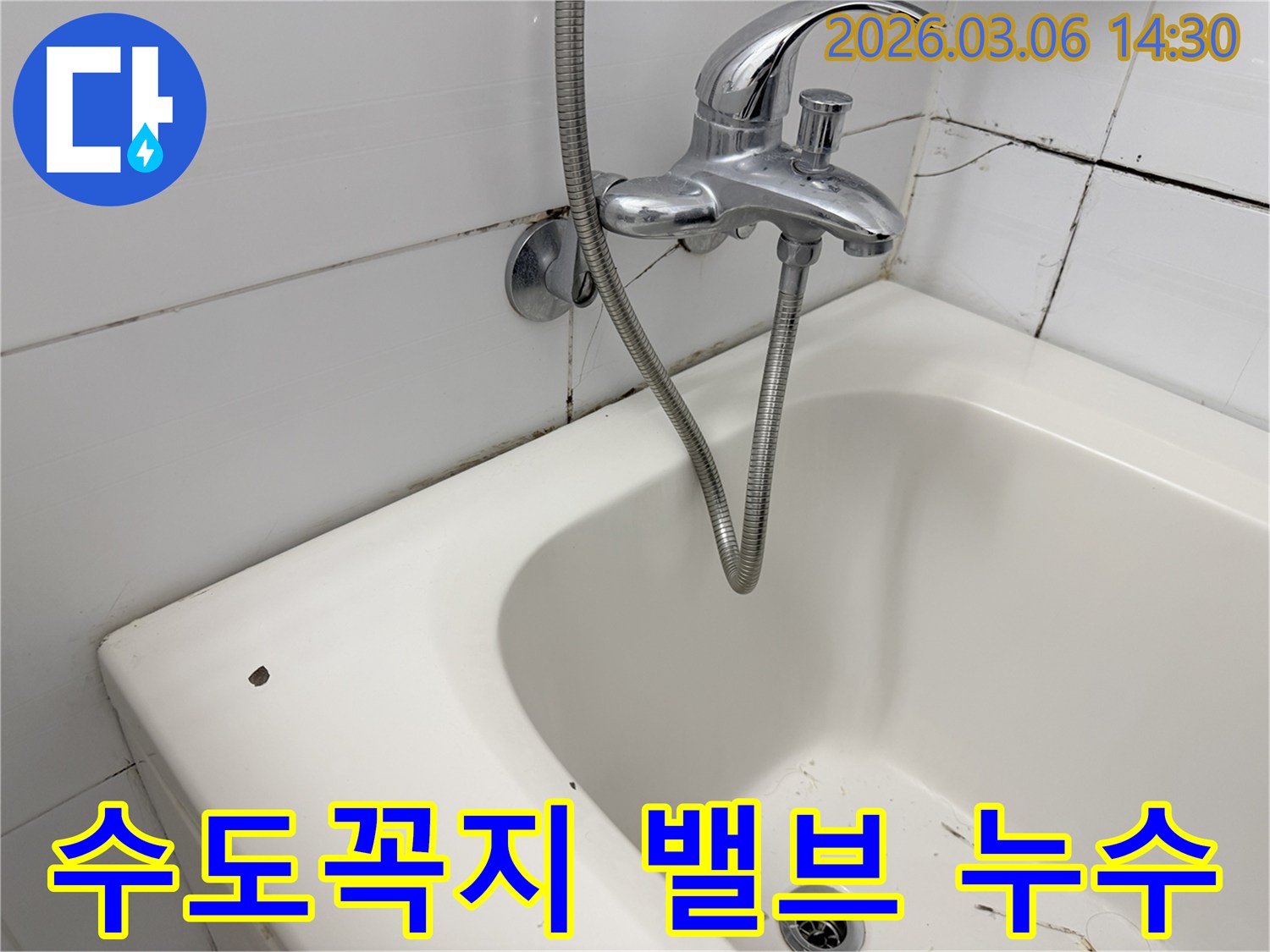 욕실 수도꼭지의 손잡이 부분과-주변의 물때-그리고 곰팡이가 보입니다.