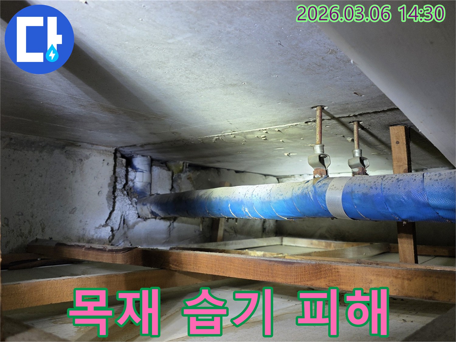 지하 공간의 파란색 배관 아래-누수로 인해 젖은-목재 구조물을-누수 엔지니어가-습기 피해 여부를-점검하는 모습