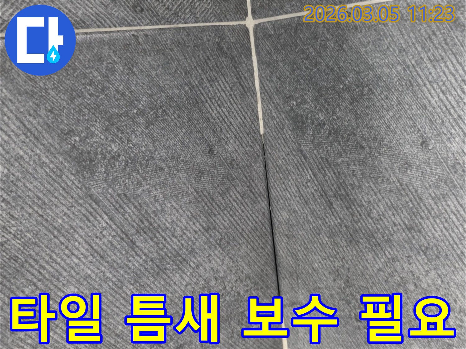 이 이미지는-여주 홍문동-화장실에서-발견된-타일-틈새로-인한-누수-현장을-보여주며-보수가-필요함을-나타냅니다
