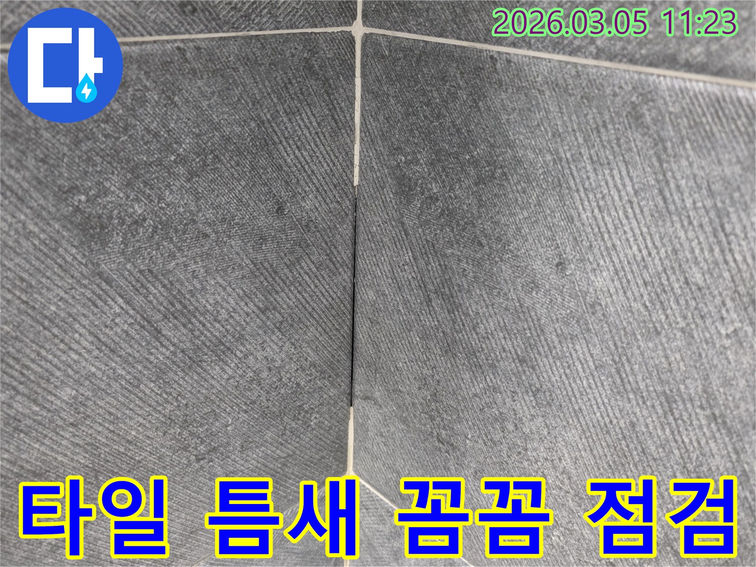 타일 틈새에서-발생한 누수를-꼼꼼하게 점검하는-전문가의 시선을-담은 클로즈업 사진입니다.